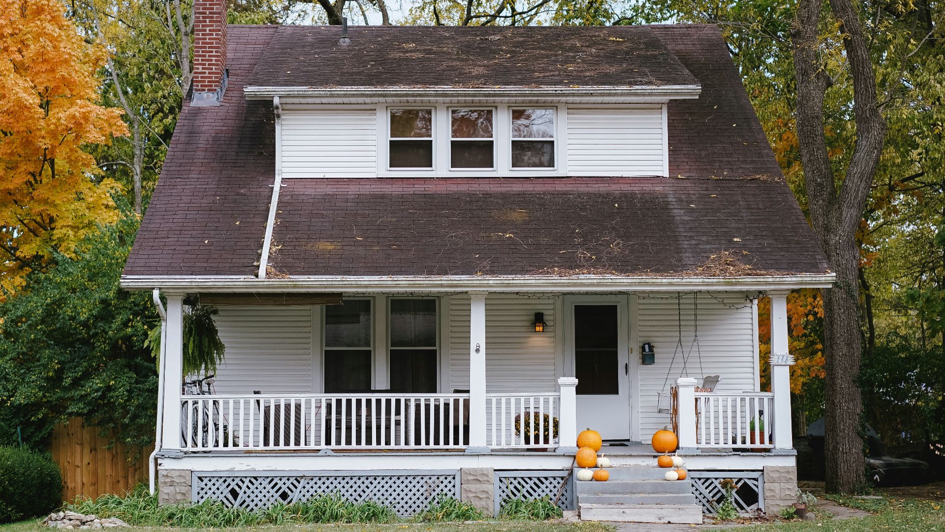 trees beside white house