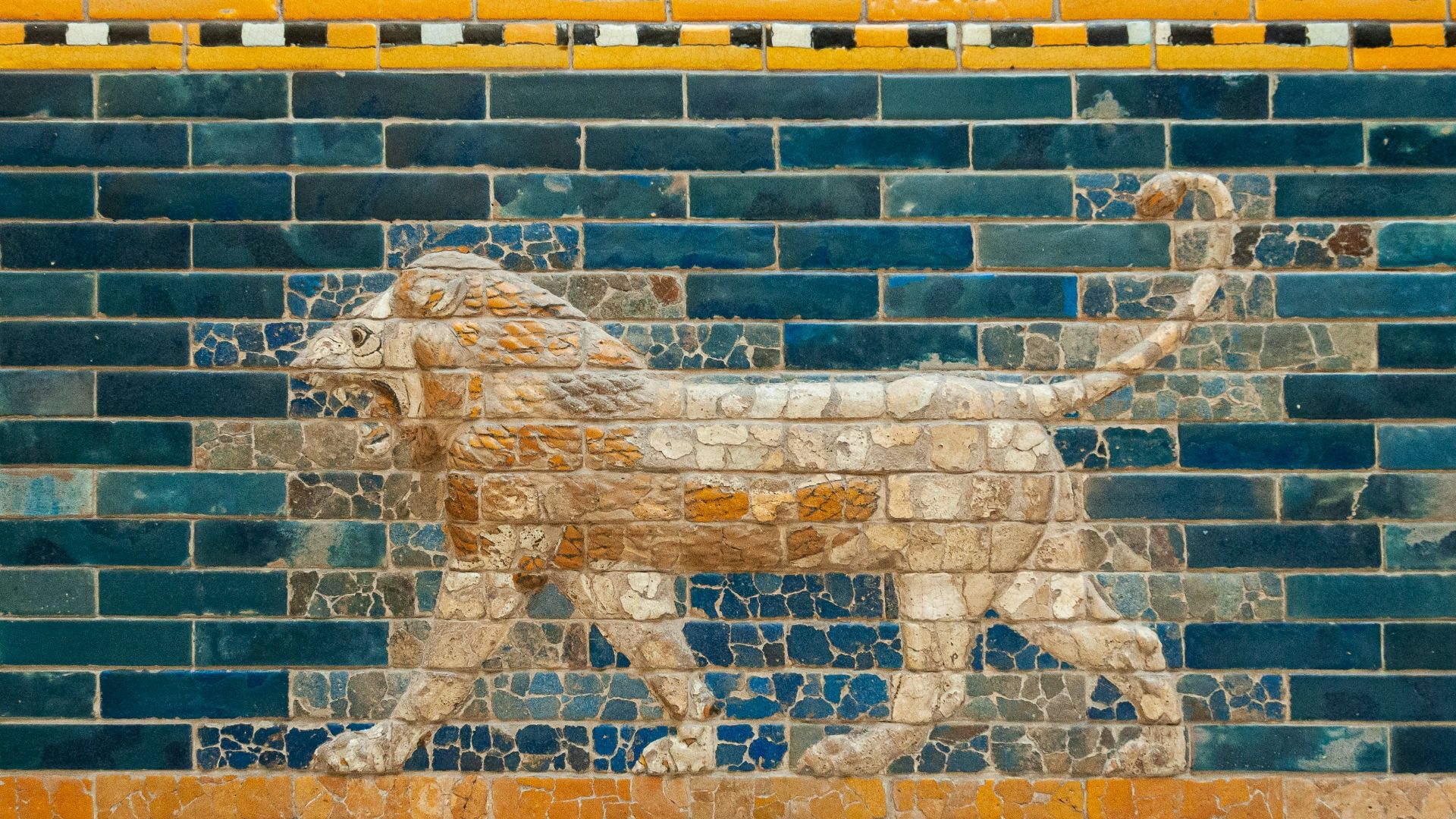 lion and lion wall art