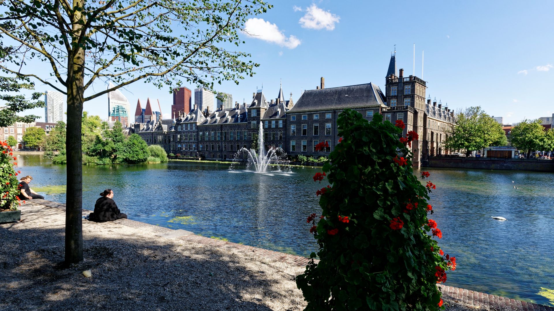 File:Den Haag - Lange Vijverberg - View on Hofvijver & Binnenhof 2.jpg