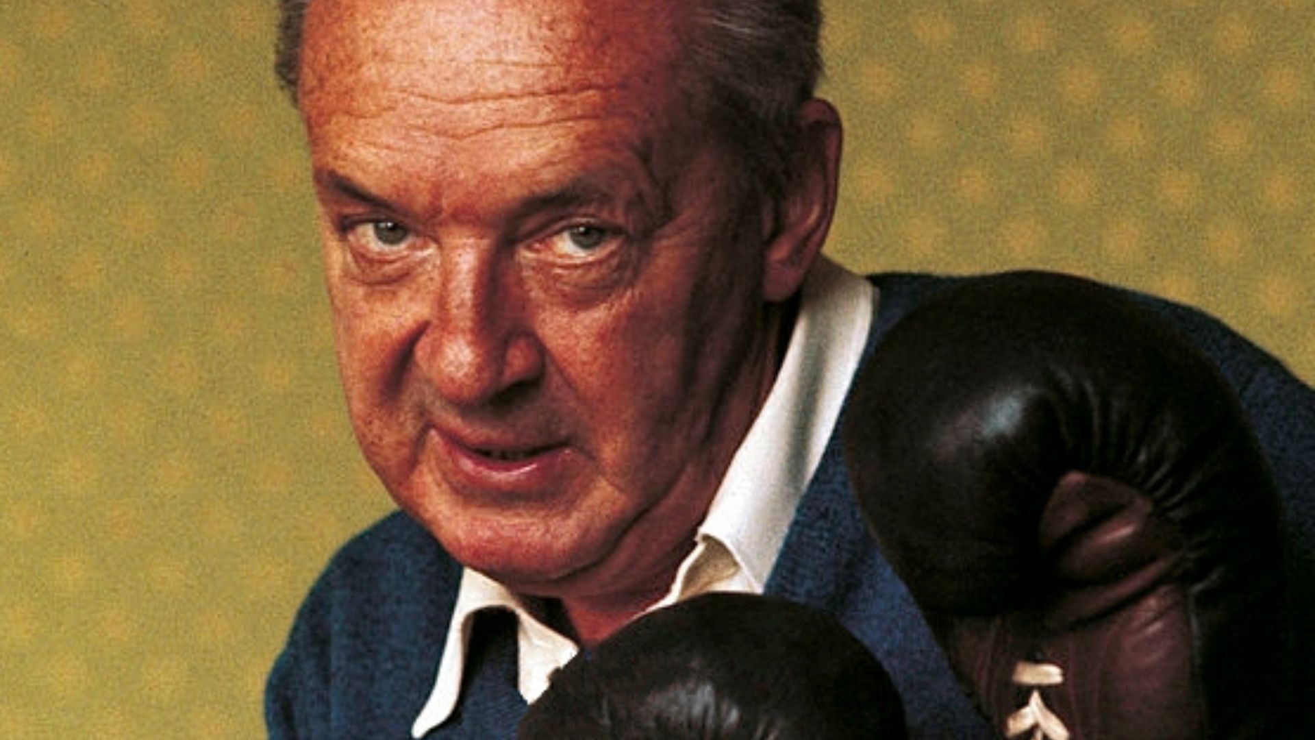 File:Vladimir Nabokov 1960s.jpg