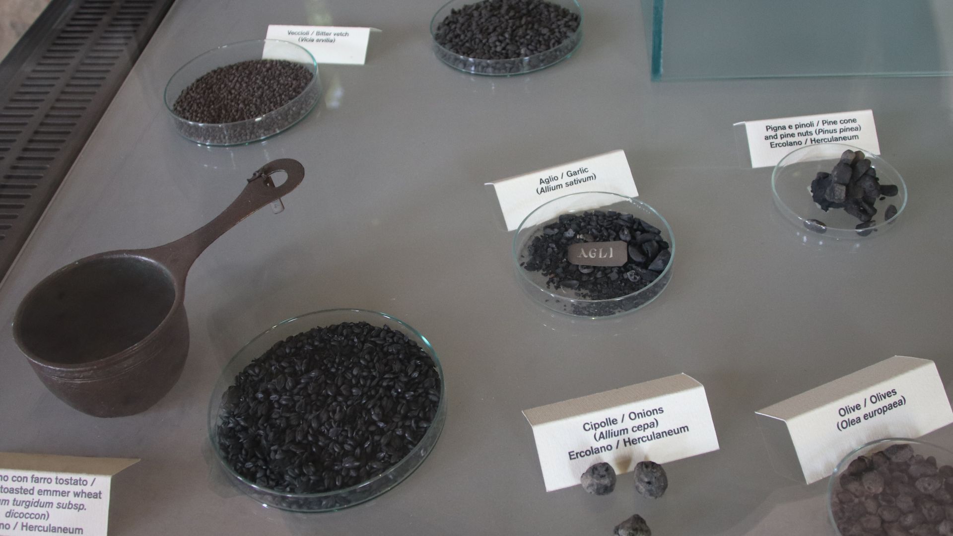 File:Pompeii Ruins Exhibit of Preserved Food Items (48443171211).jpg