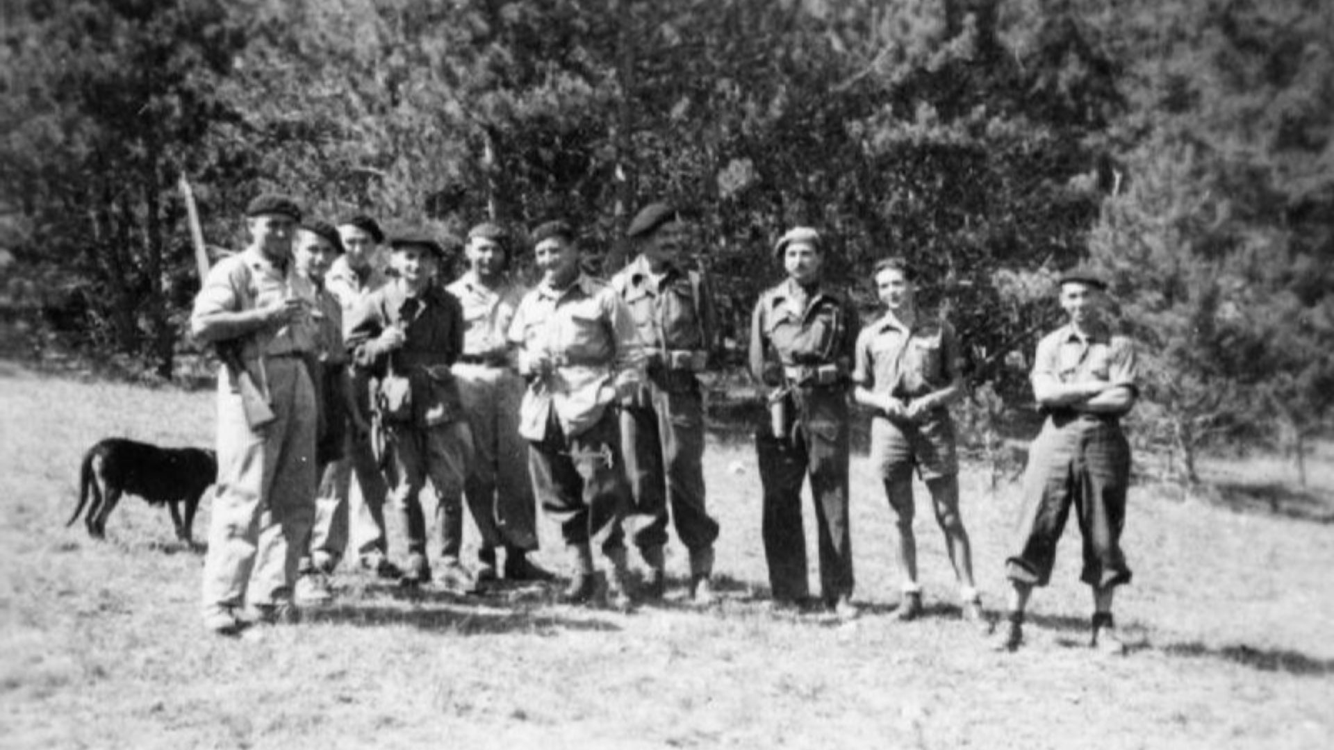 File:Maquis Haute Savoie.jpg