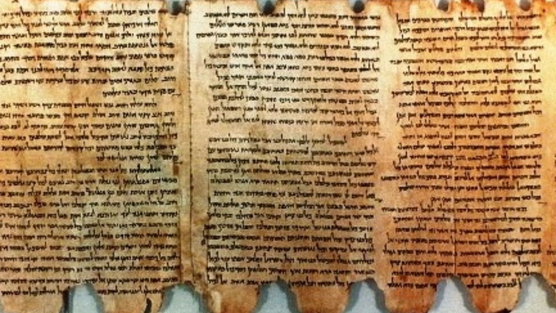 File:Dead sea scrolls (doitu oyajibabaa , kyoto koshin yukishin).jpg