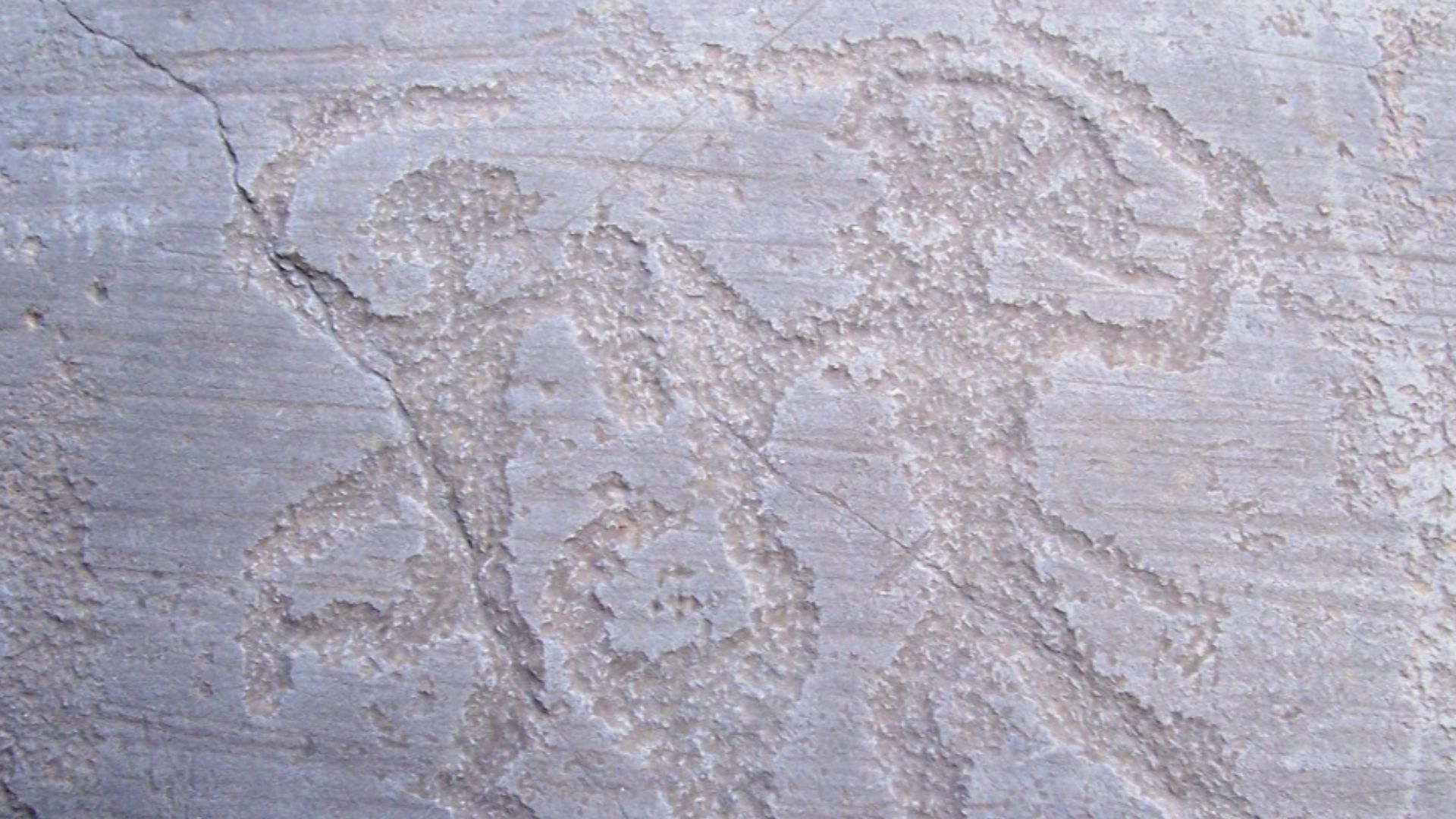 File:Scena di duello R6 - Foppe - Nadro (Foto Luca Giarelli).jpg