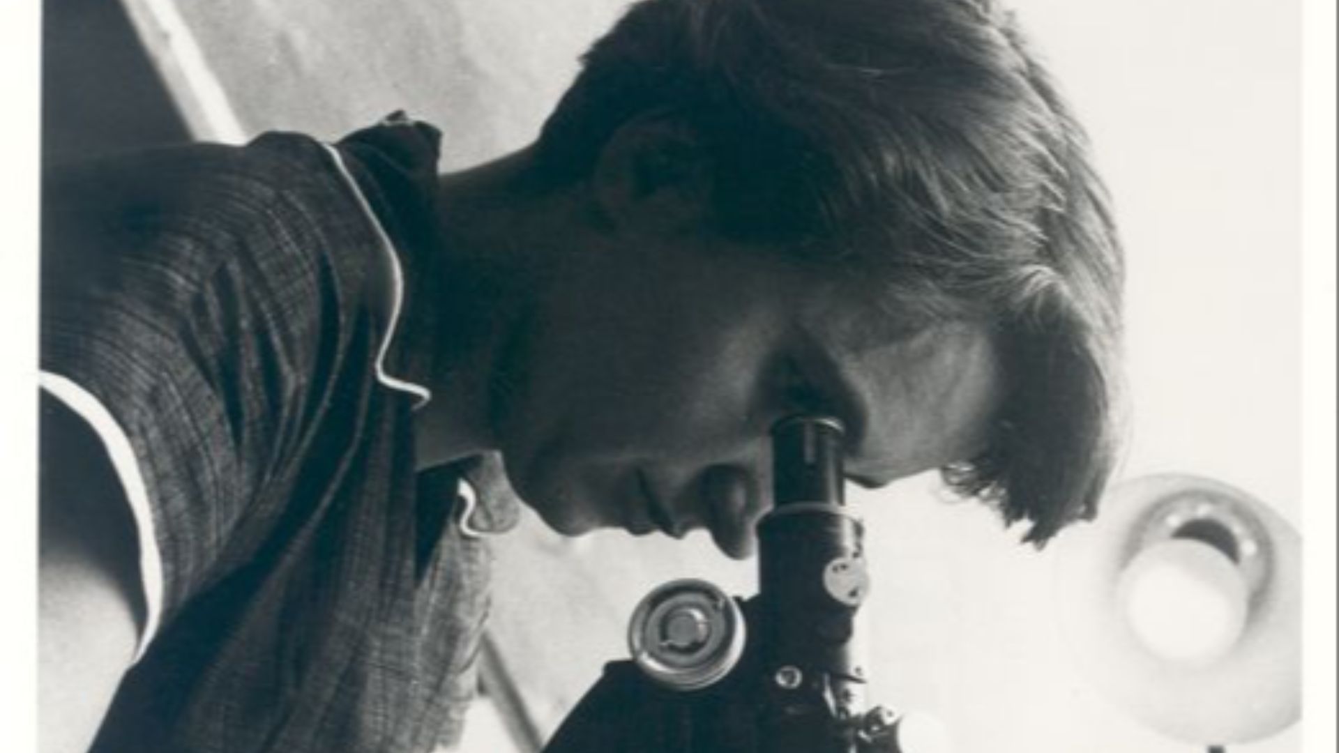 File:Rosalind Franklin.jpg