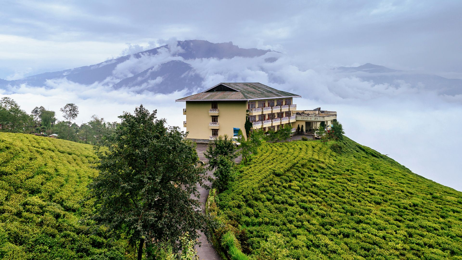 File:Cherry Resort inside Temi Tea Garden, Namchi, Sikkim.jpg