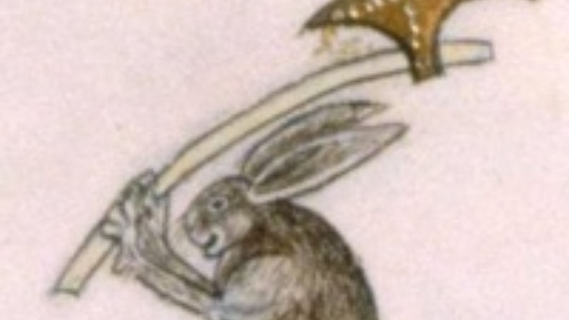 File:Axe% 20Rabbit200(1).jpg