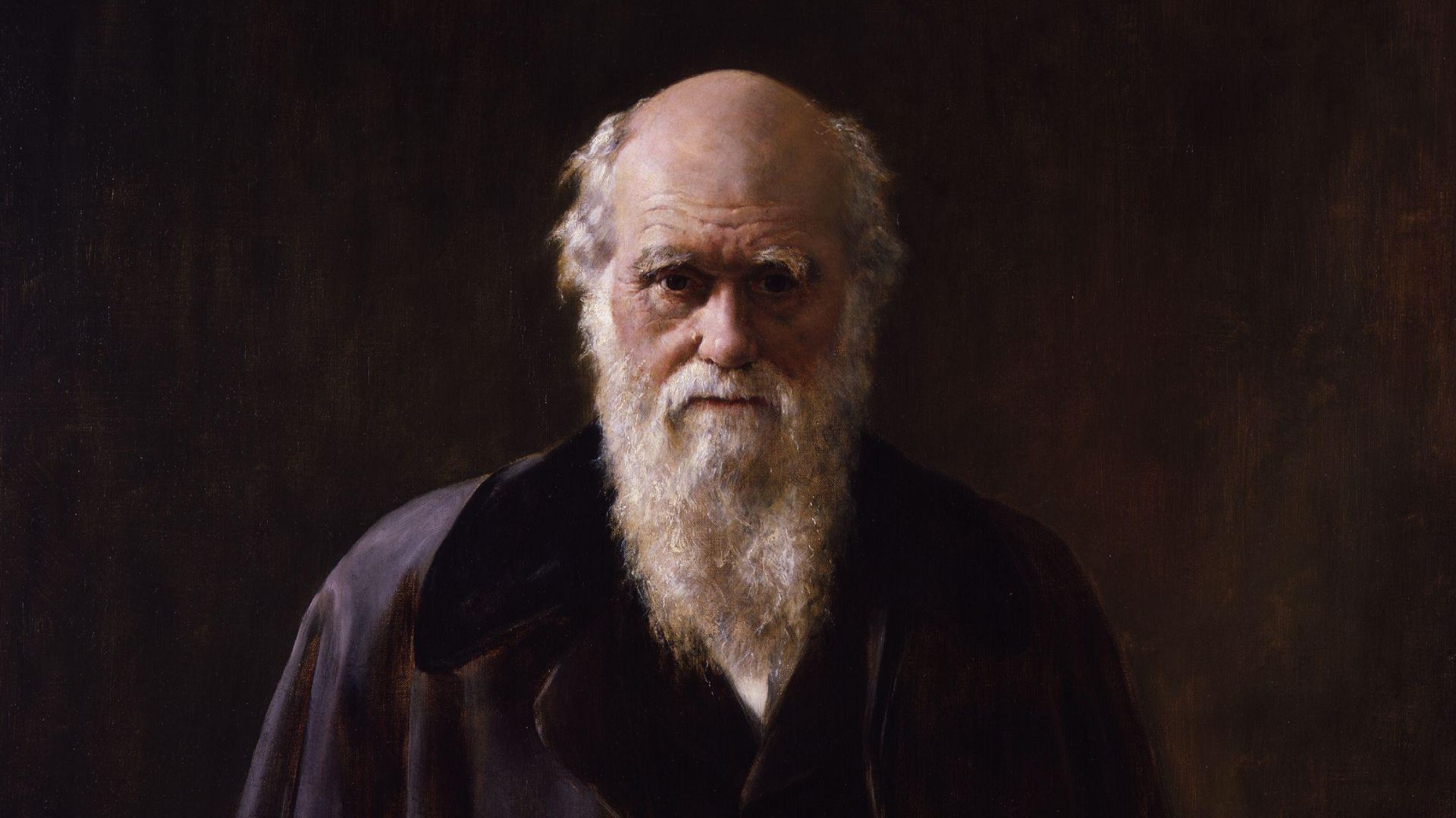 File:Charles Robert Darwin by John Collier.jpg