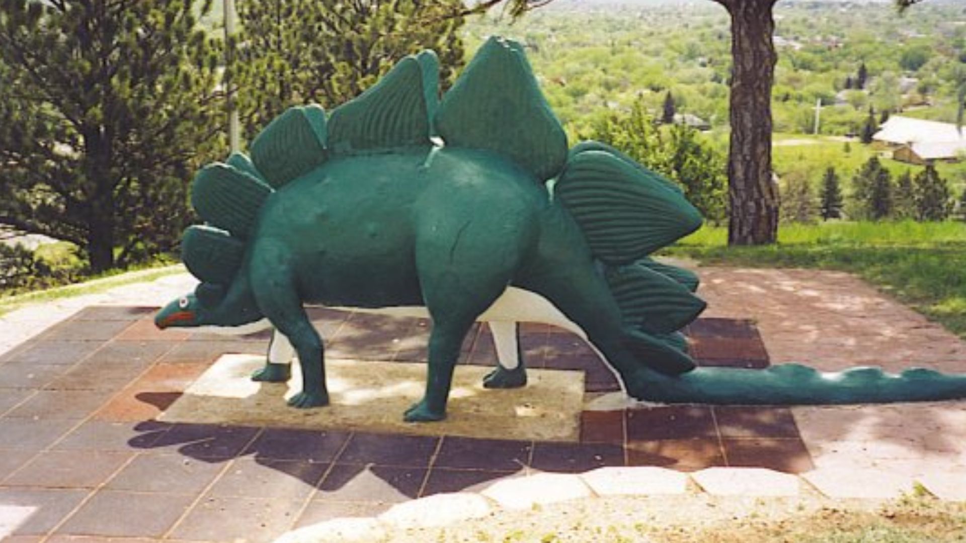 File:StegosaurusDinosaurPark.jpg