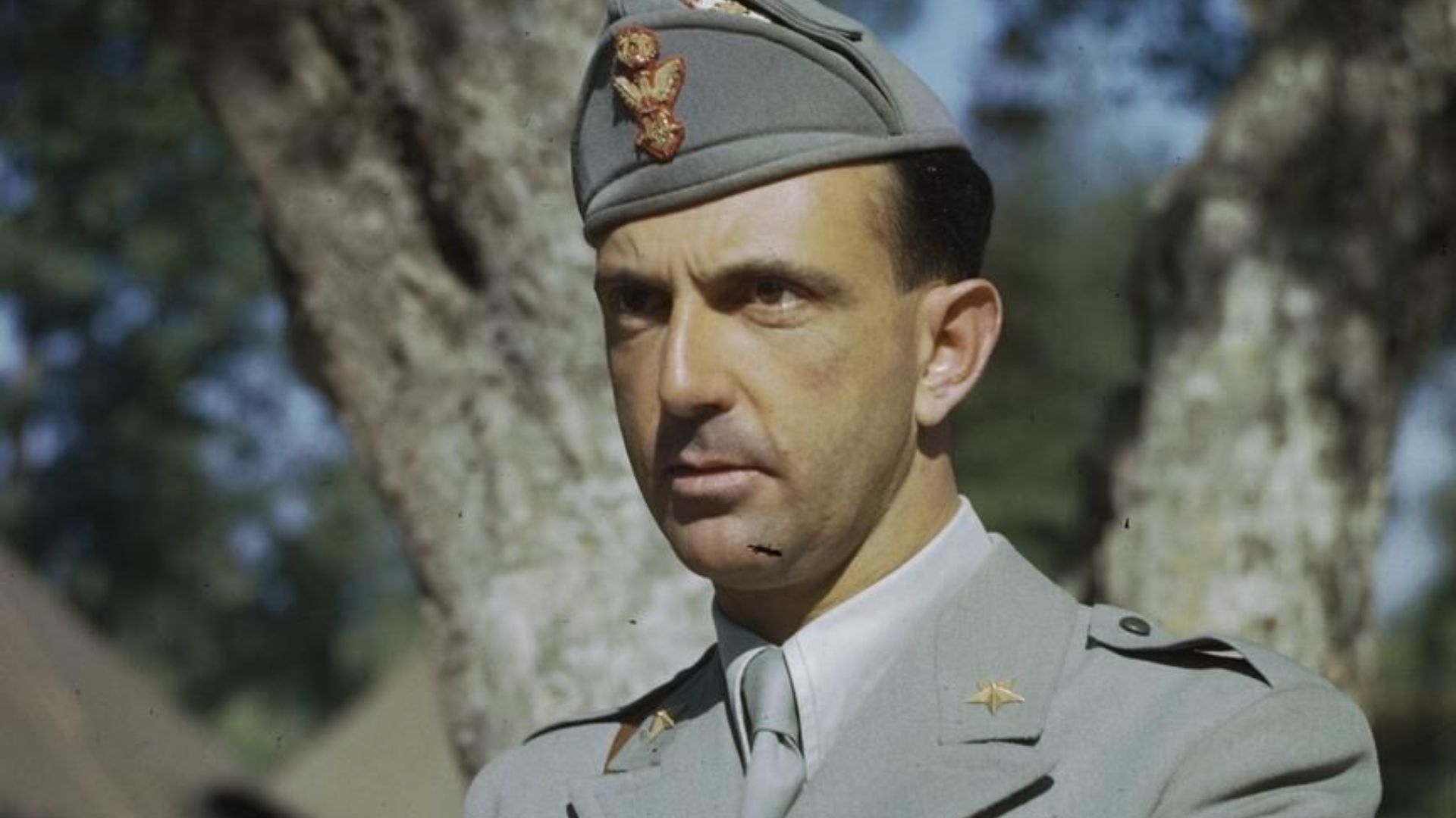 File:Hrh Prince Umberto of Italy, May 1944 TR1836.jpg