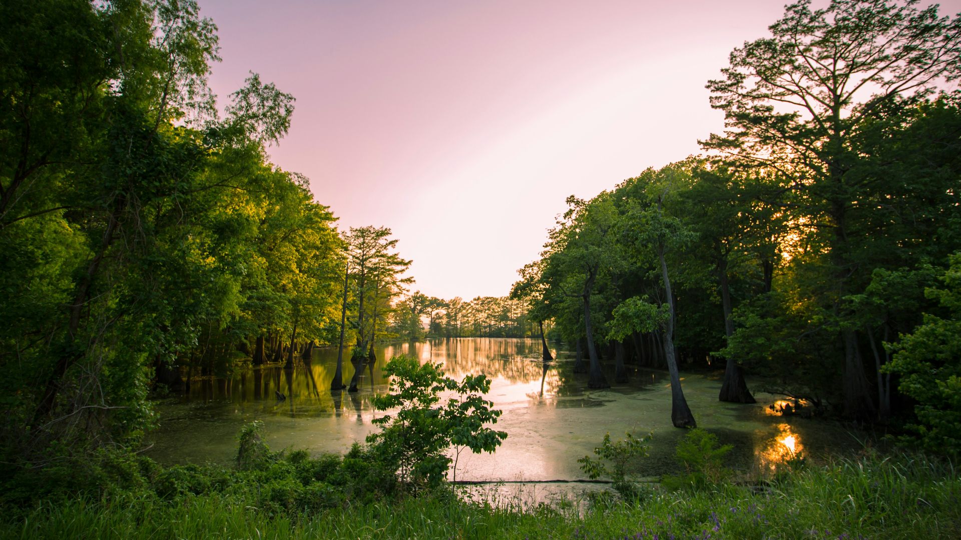 a lake surrounded by lush green trees under a purple sky