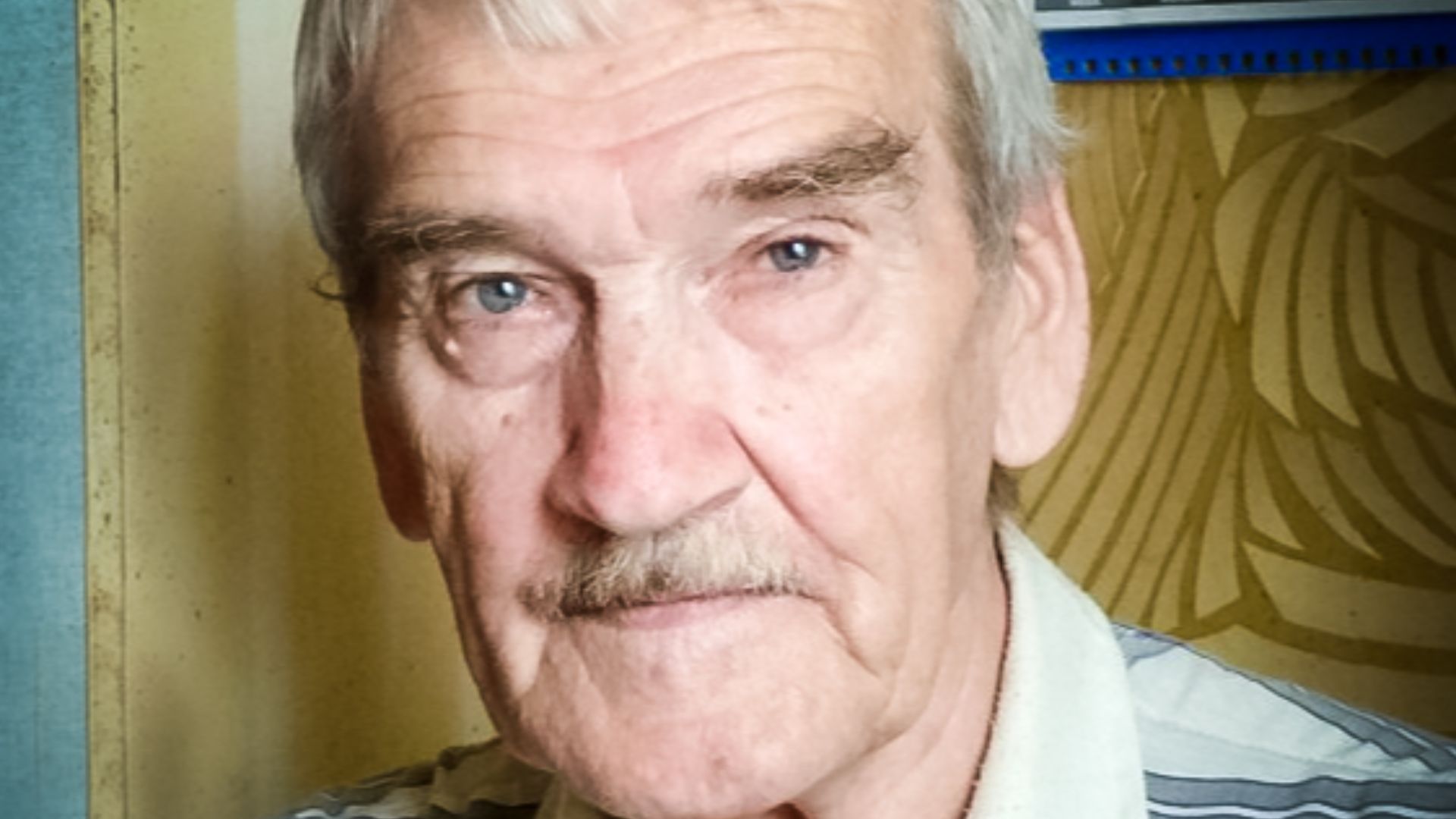 File:Stanislaw-jewgrafowitsch-petrow-2016.jpg
