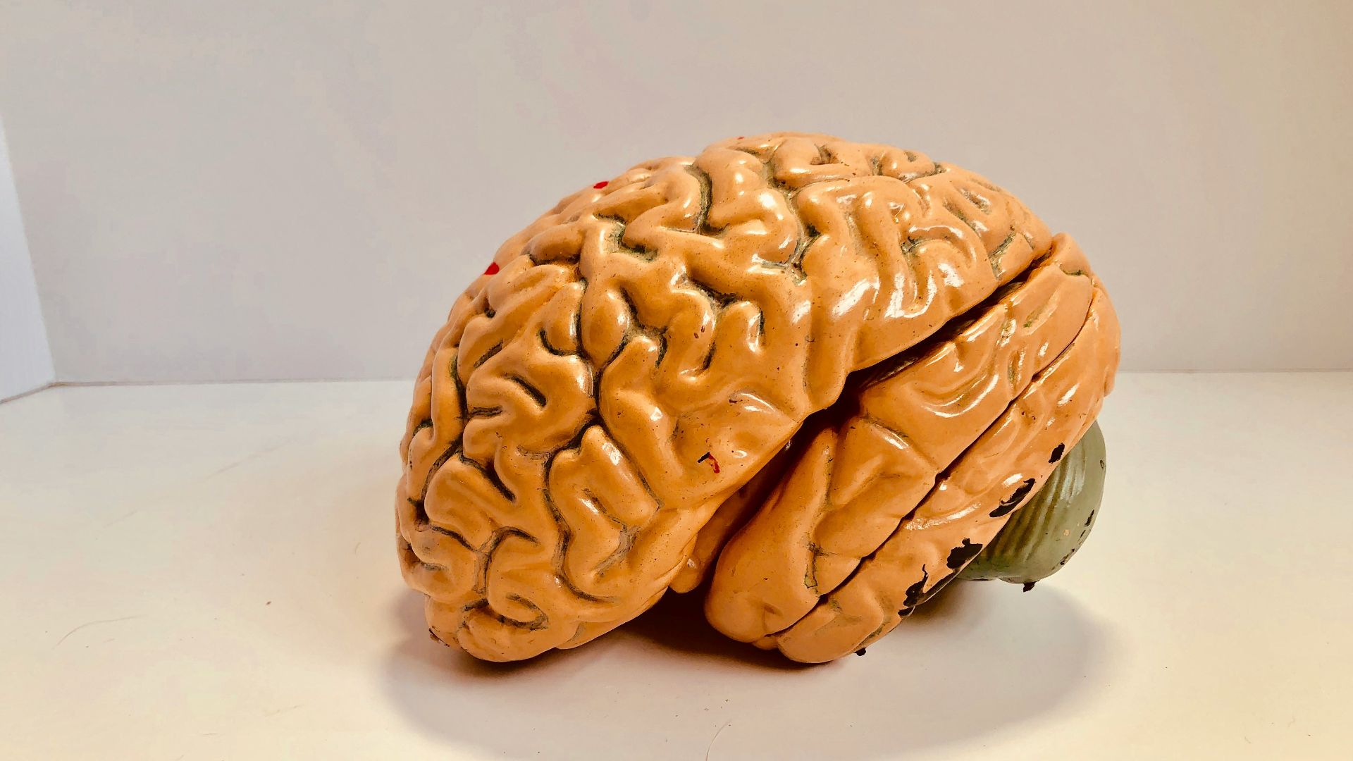 human brain figurine