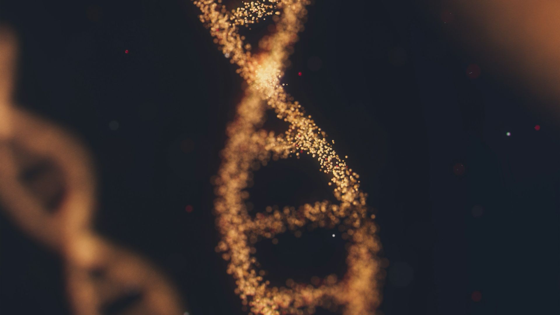 a close up of a double strand of gold glitter