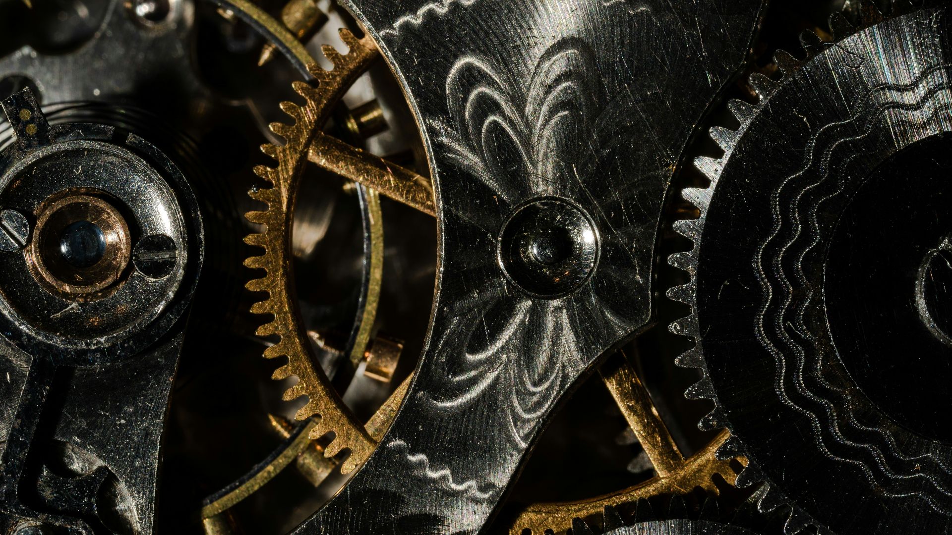 gold and black leather textile