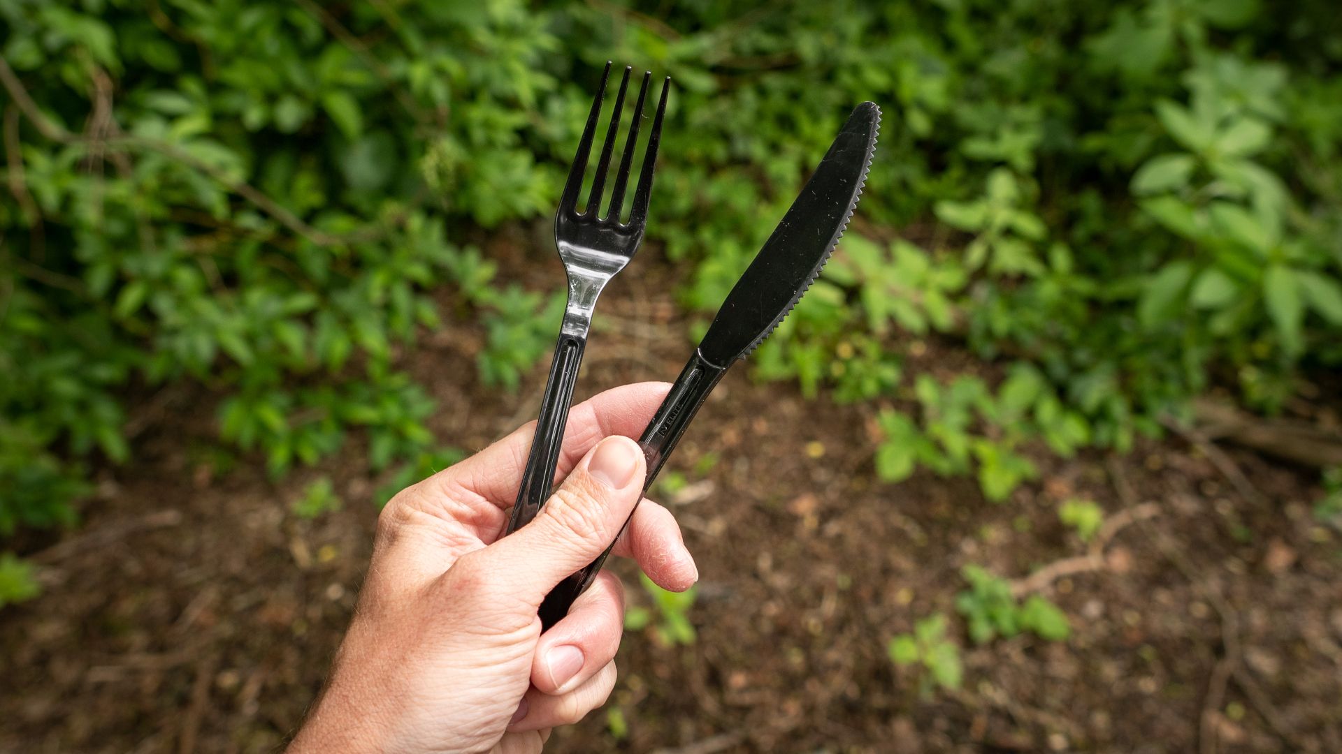 File:Single Use Plastic Cutlery.jpg