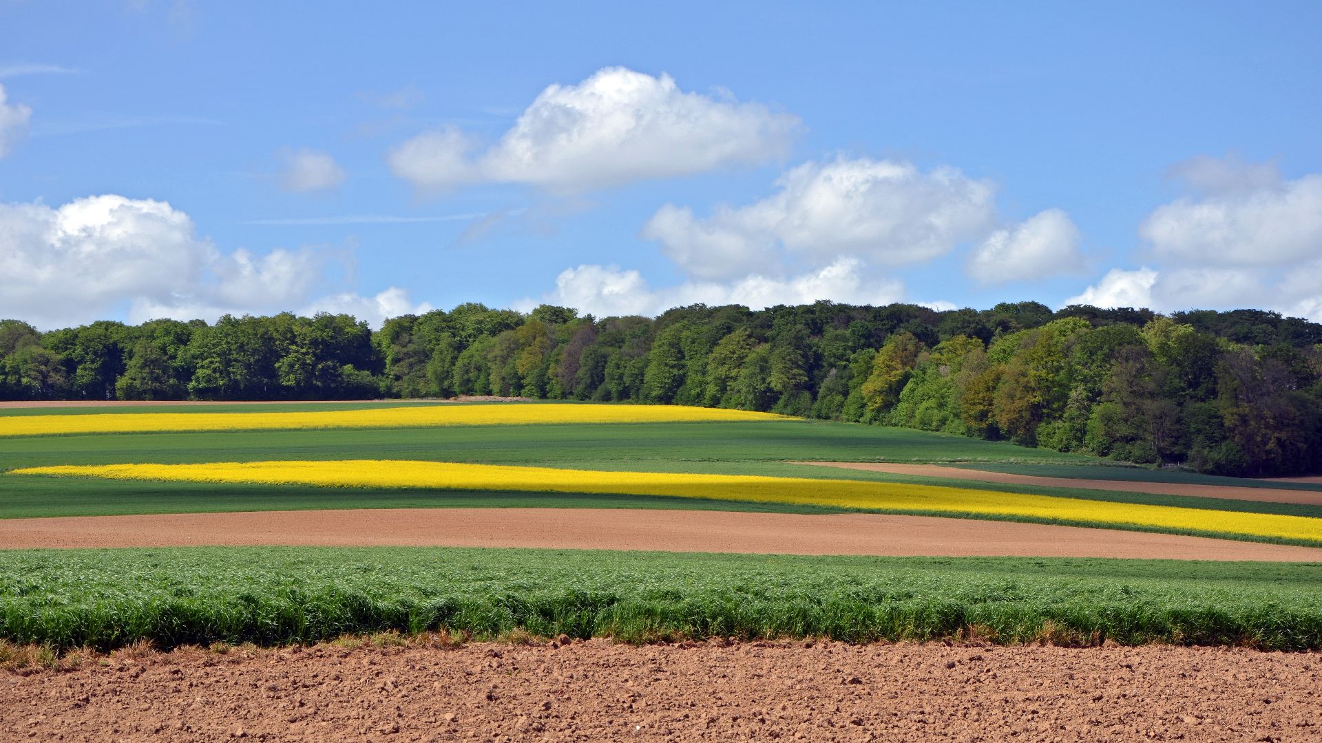 File:Paysages-de-la-vallée-de-l'Authie-vers-Doullens-DSC 0350.jpg