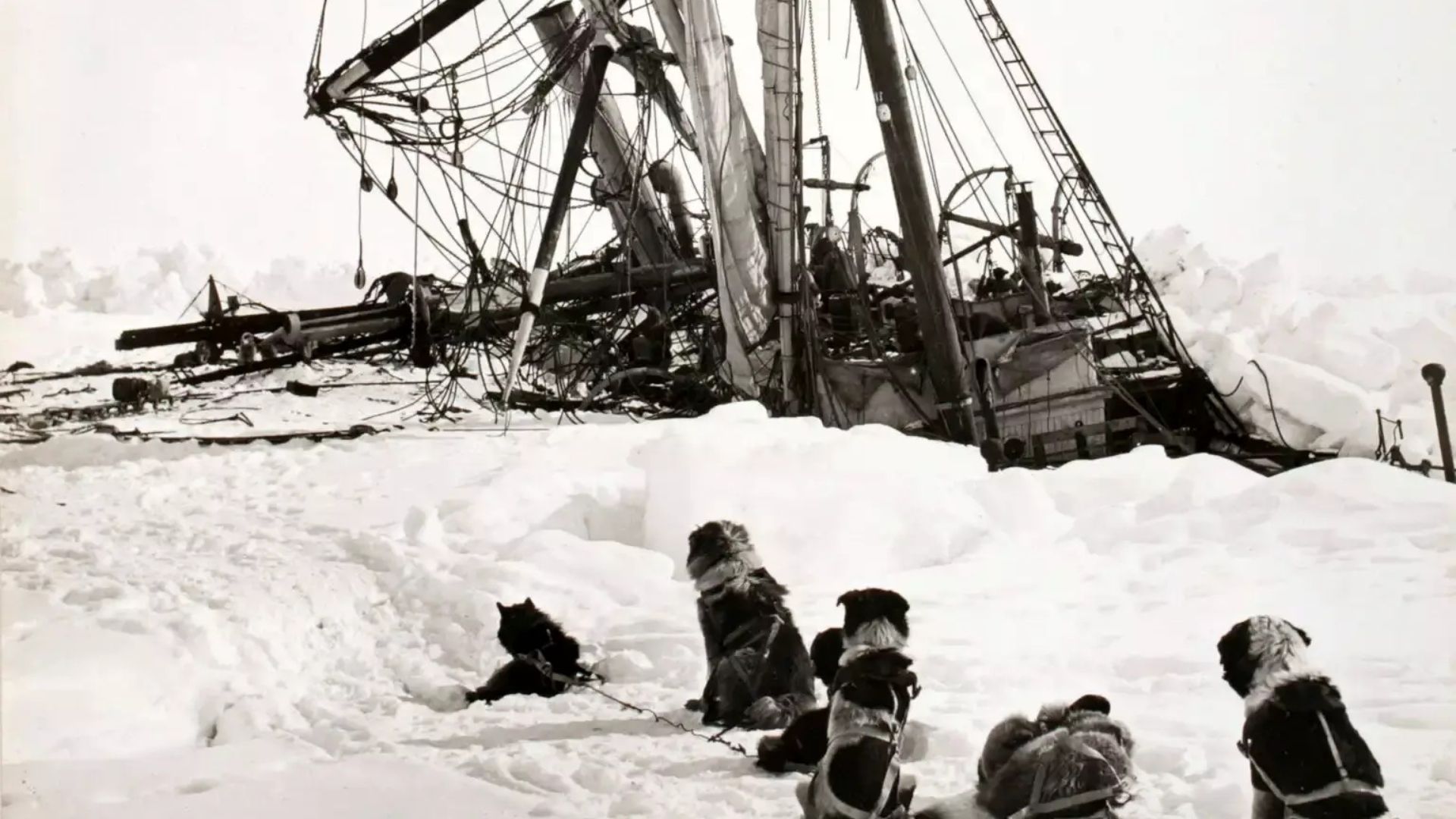 File:Shackleton's expedition to the Antarctic Endurance after ice pressure was released. LCCN2013646126.jpg