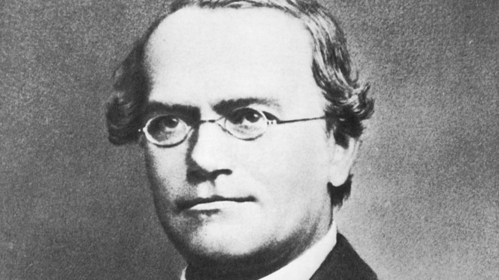 File:Gregor Mendel 2.jpg