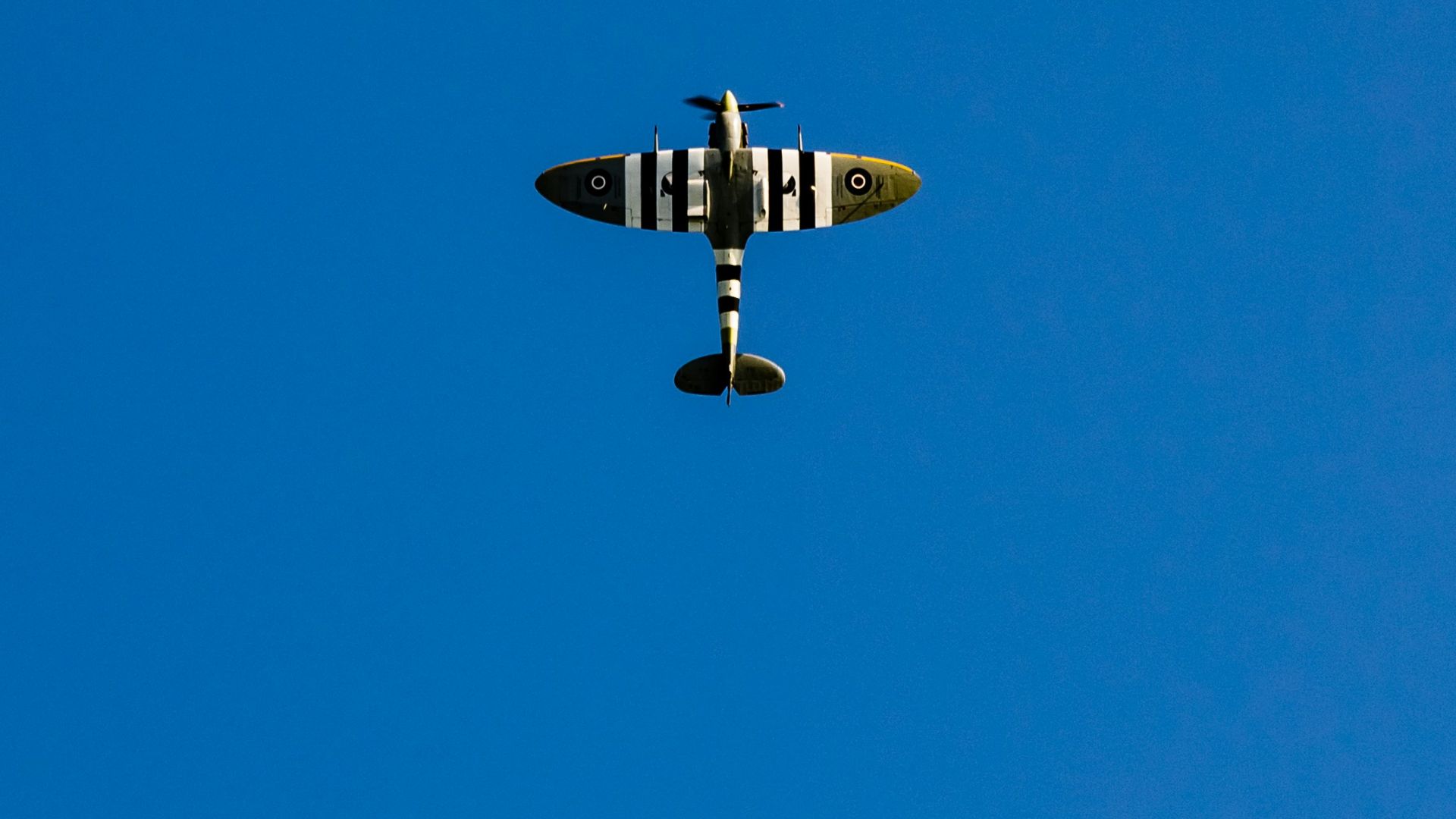 gray and white airplane under blue sky
