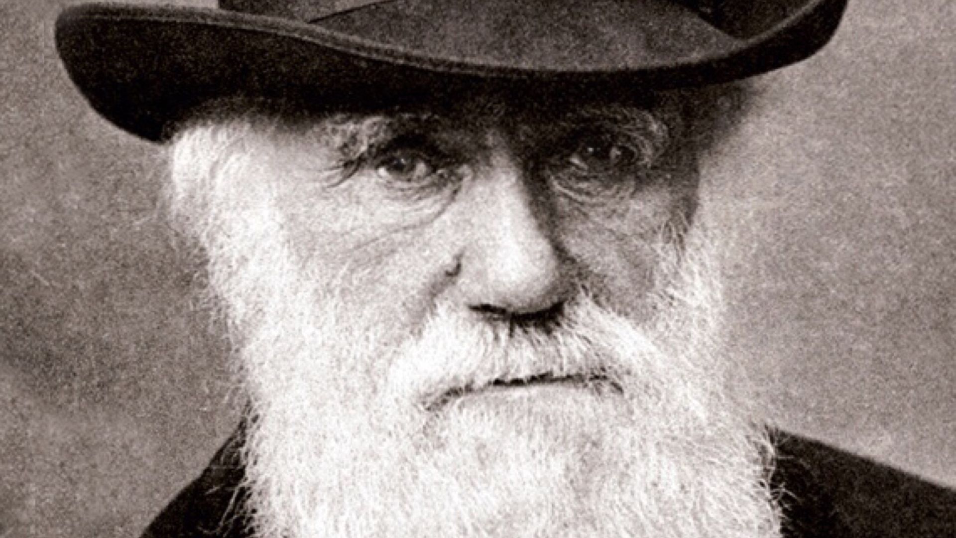 File:Charles Darwin 1880.jpg