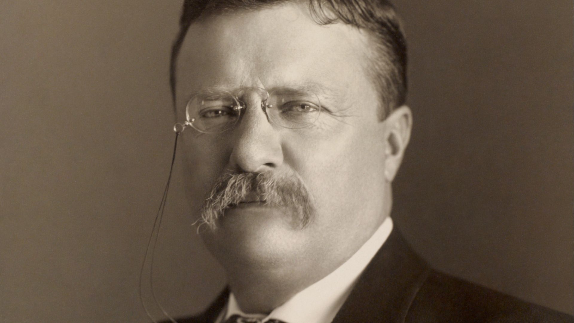 File:Theodore Roosevelt by the Pach Bros.png