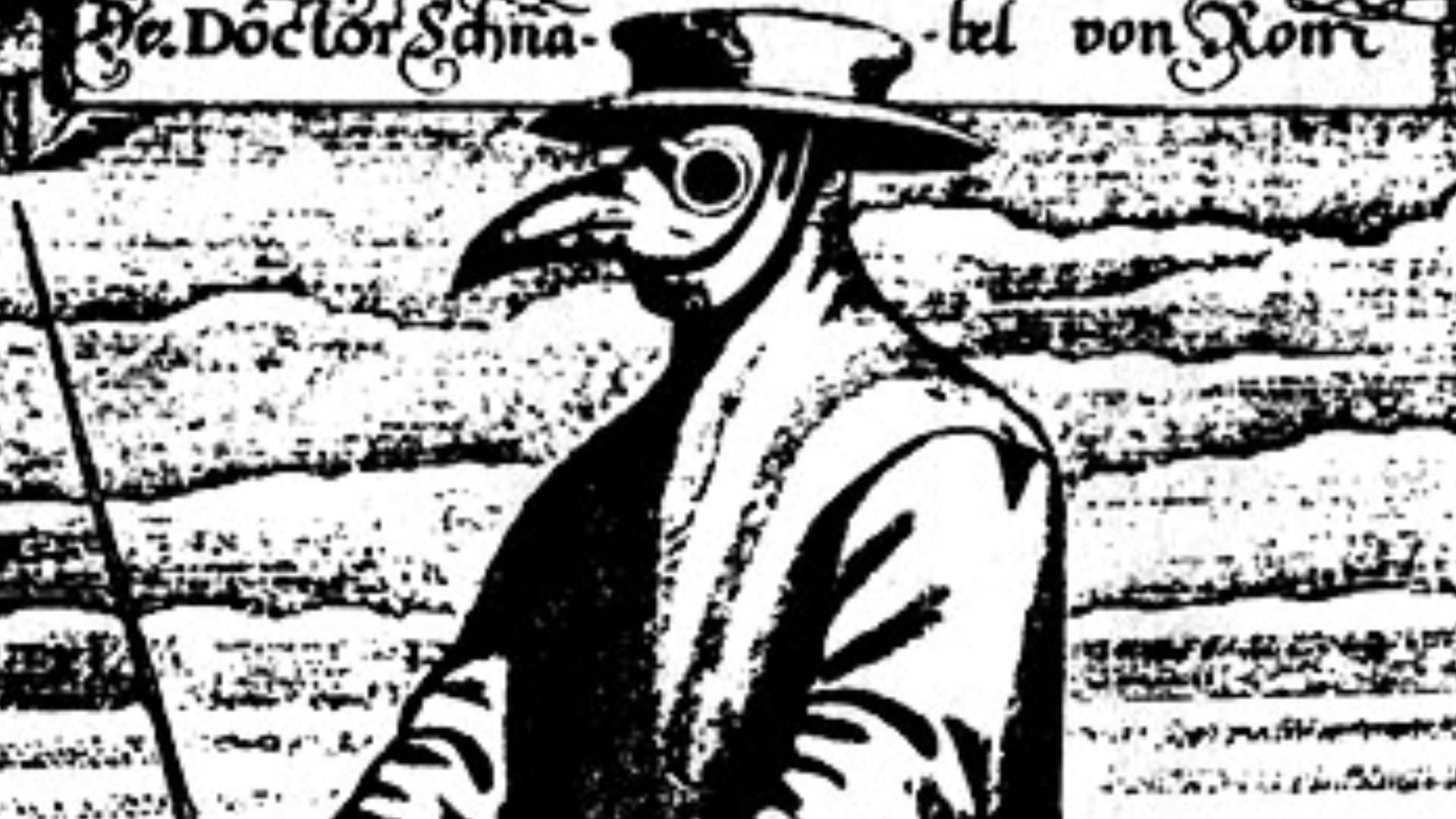 File:Doktorschnabel 430px.jpg