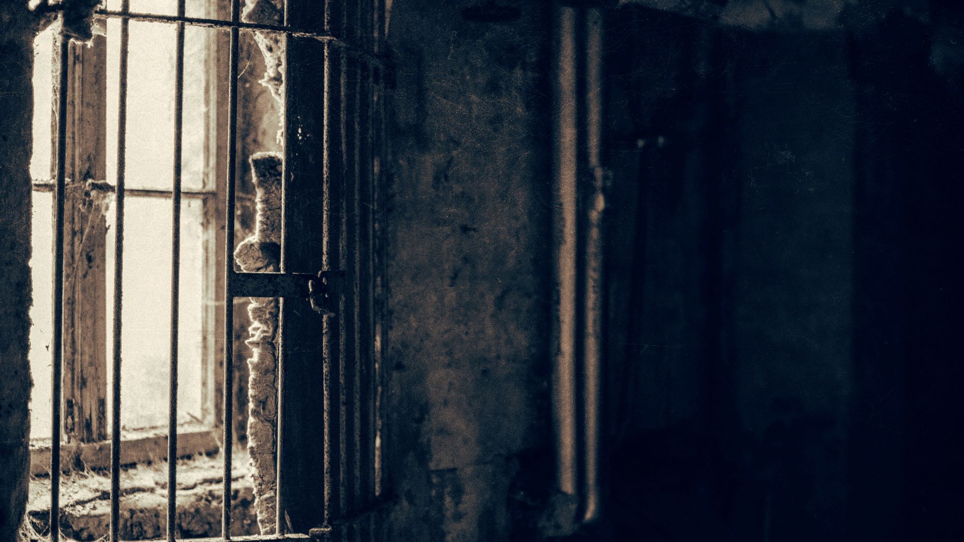 closeup photo of window with metal fence
