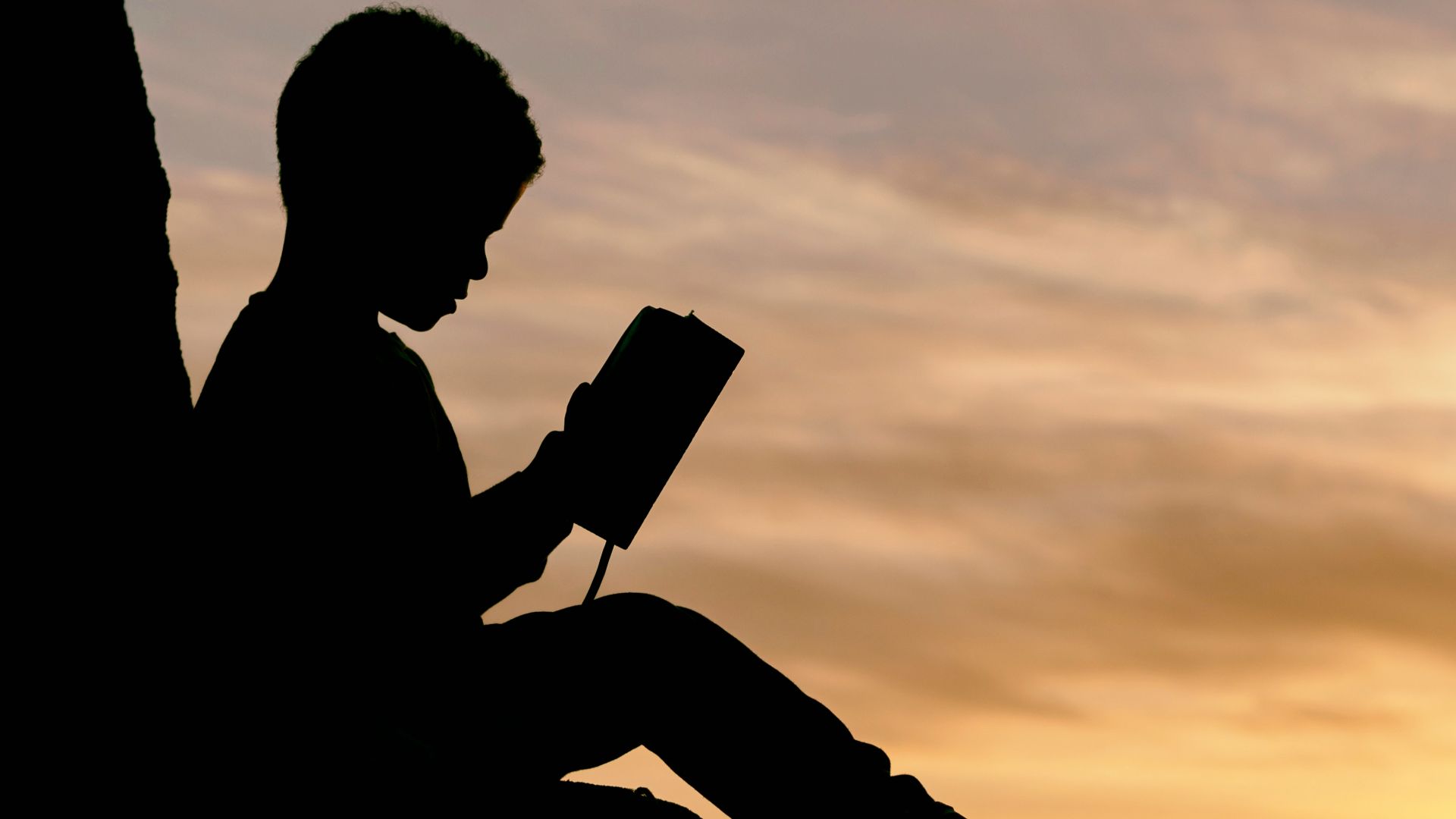 silhouette of child sitting behind tree during sunset