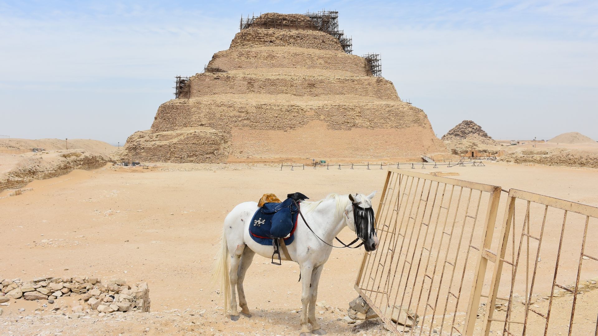 File:Donkey and the Pyramid of Djoser.JPG