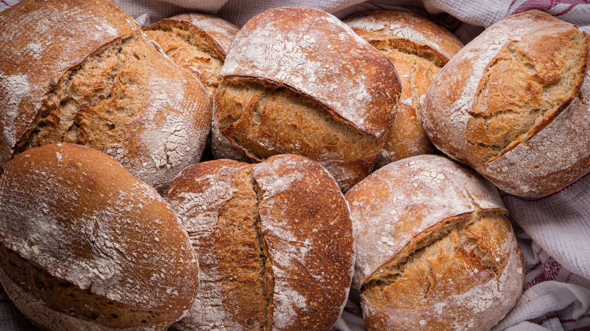 File:Home made sour dough bread.jpg