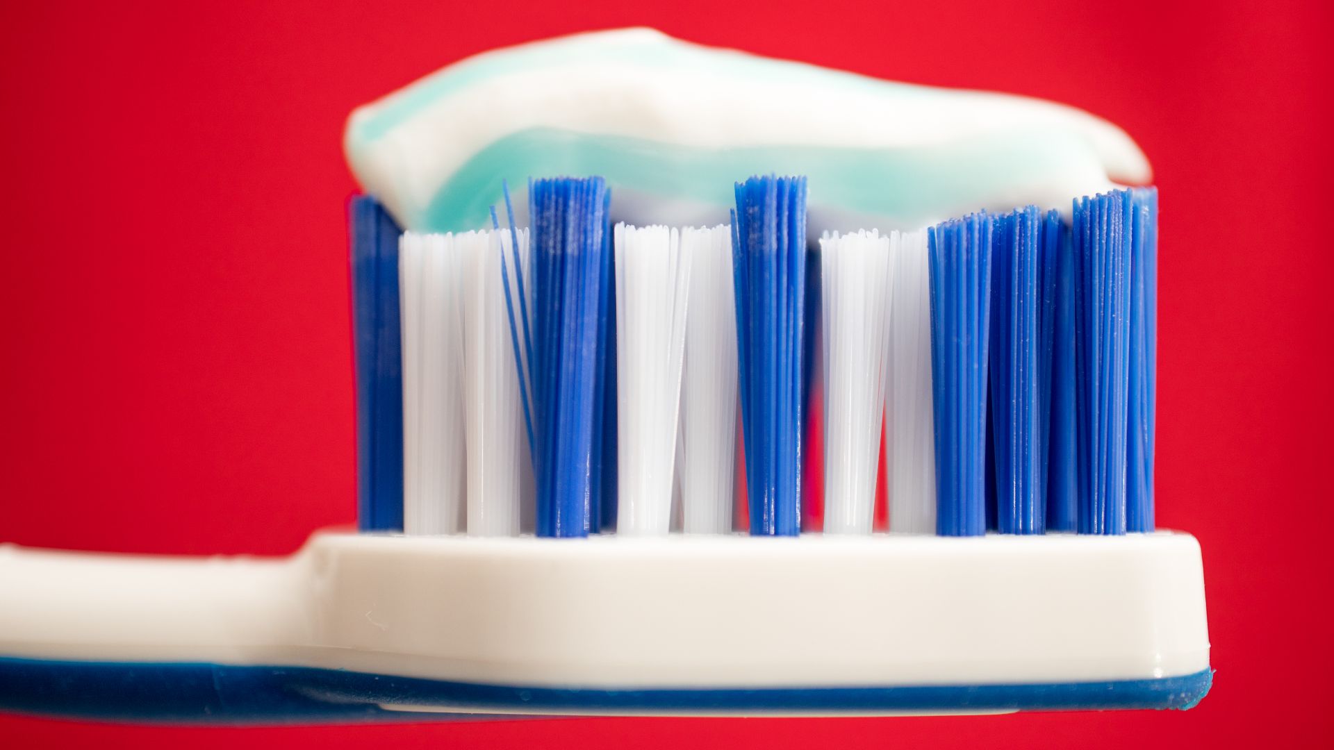 File:Close-up of a toothbrush with toothpaste (49842101773).jpg