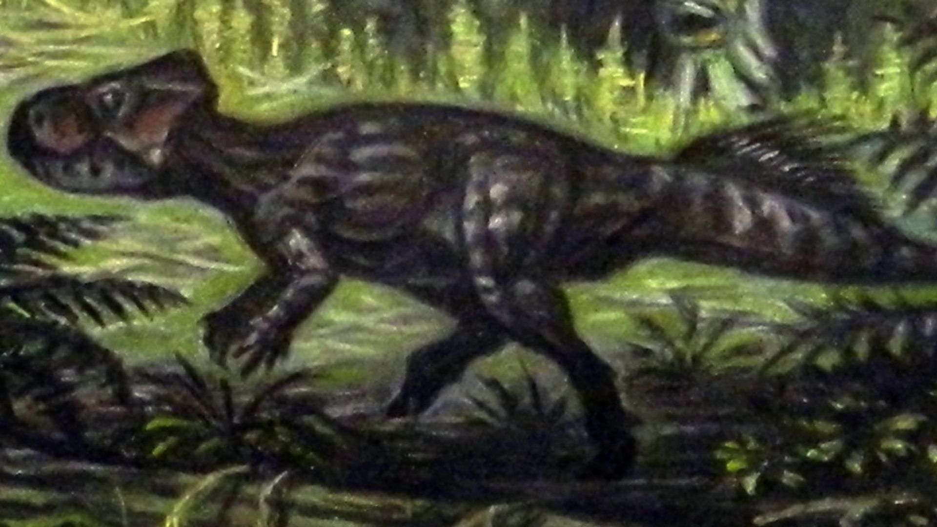 File:Microceratops.jpg