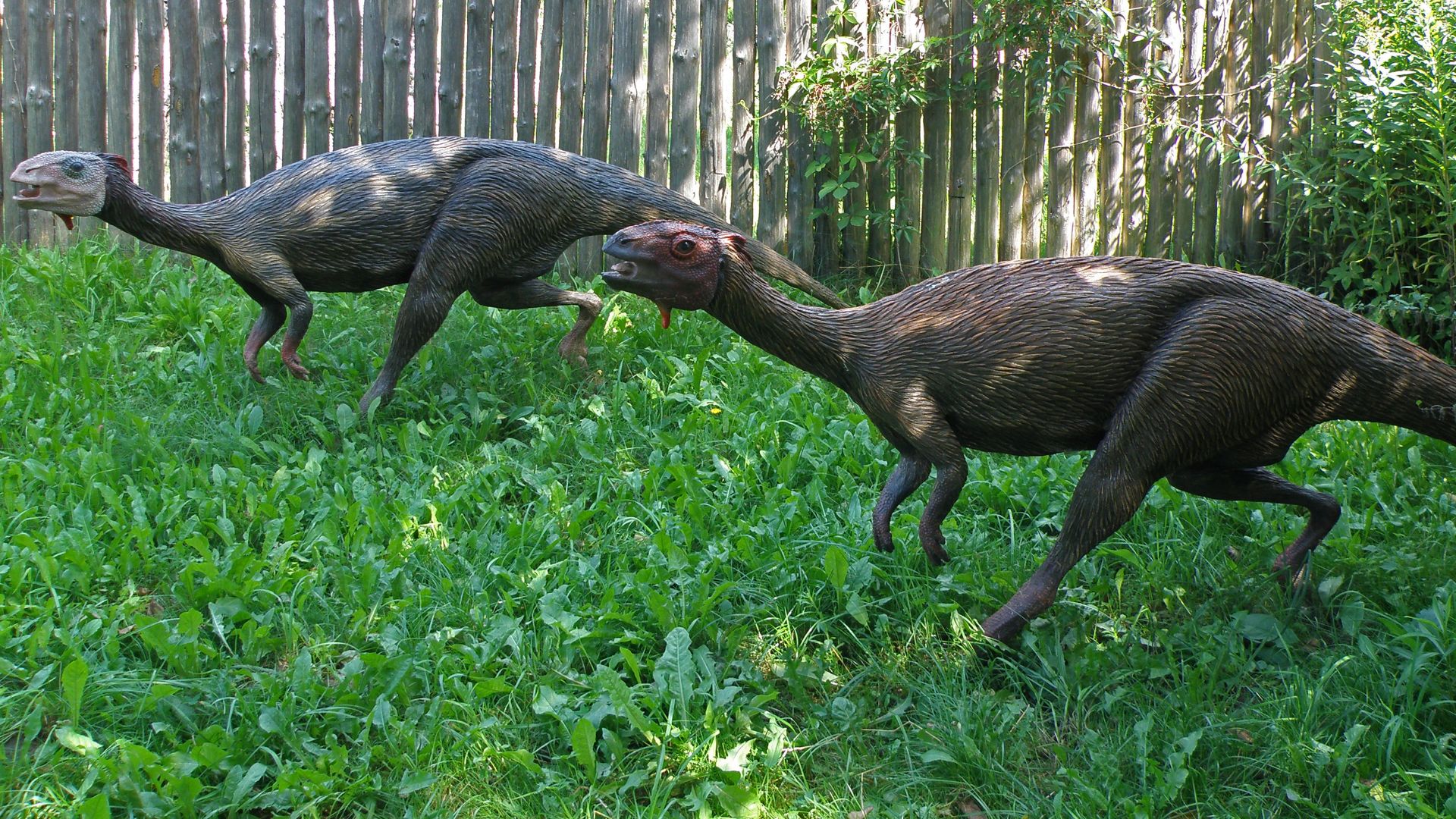 File:Driozaur (Dryosaurus) Baltow (2).JPG