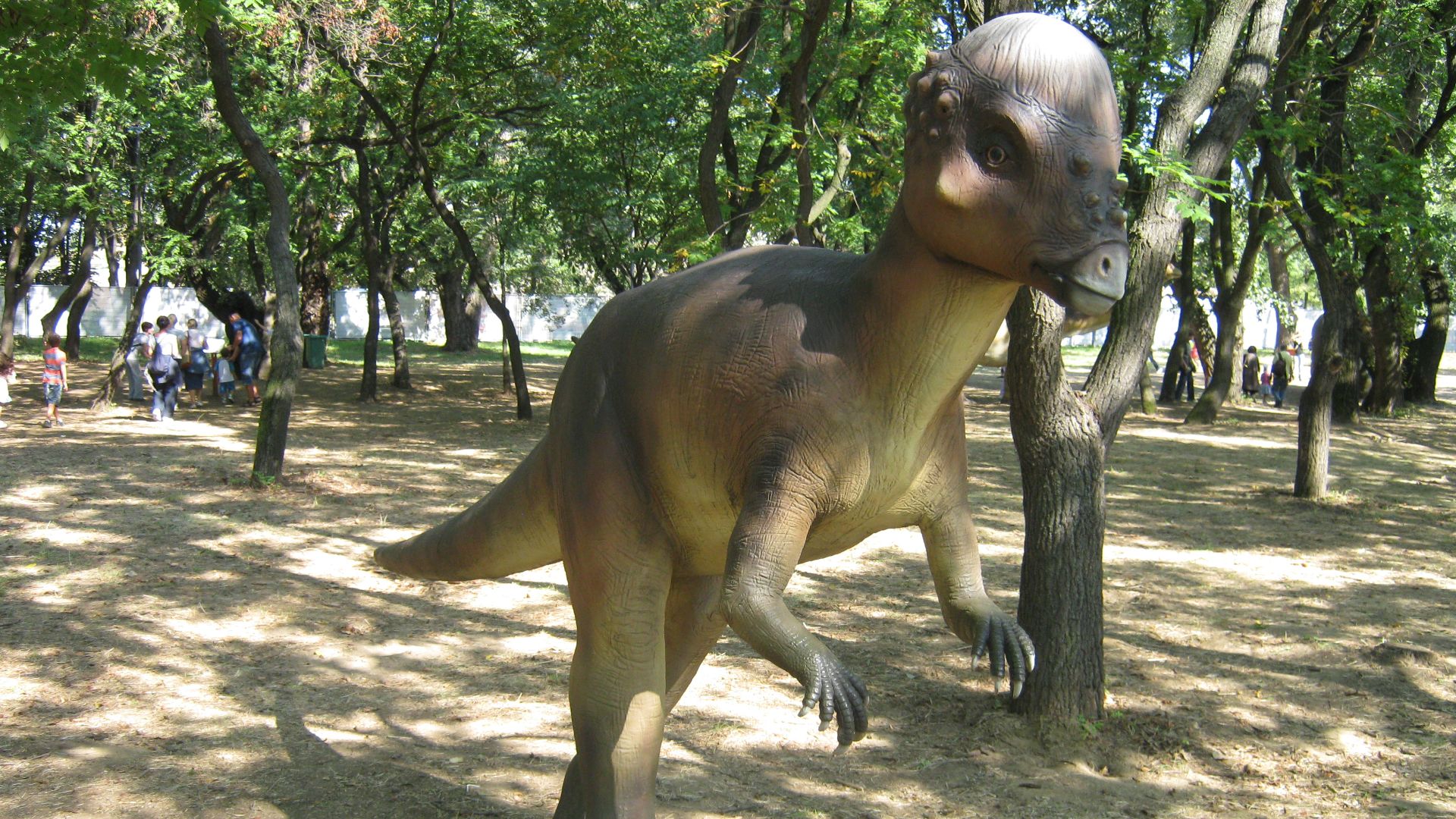 File:Pachycephalosaurus model.jpg