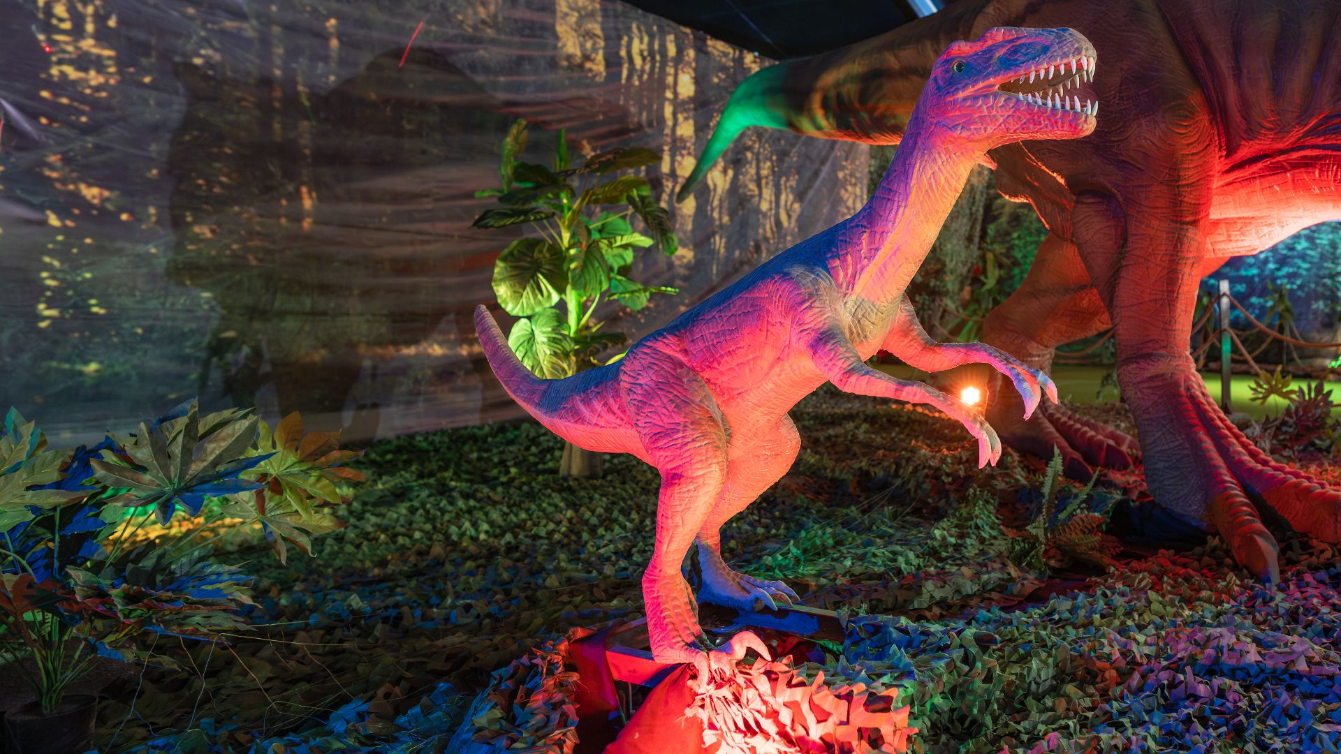 File:Tyrannosaurus Rex, Expo Dinosaurios 2023 - A740976.jpg