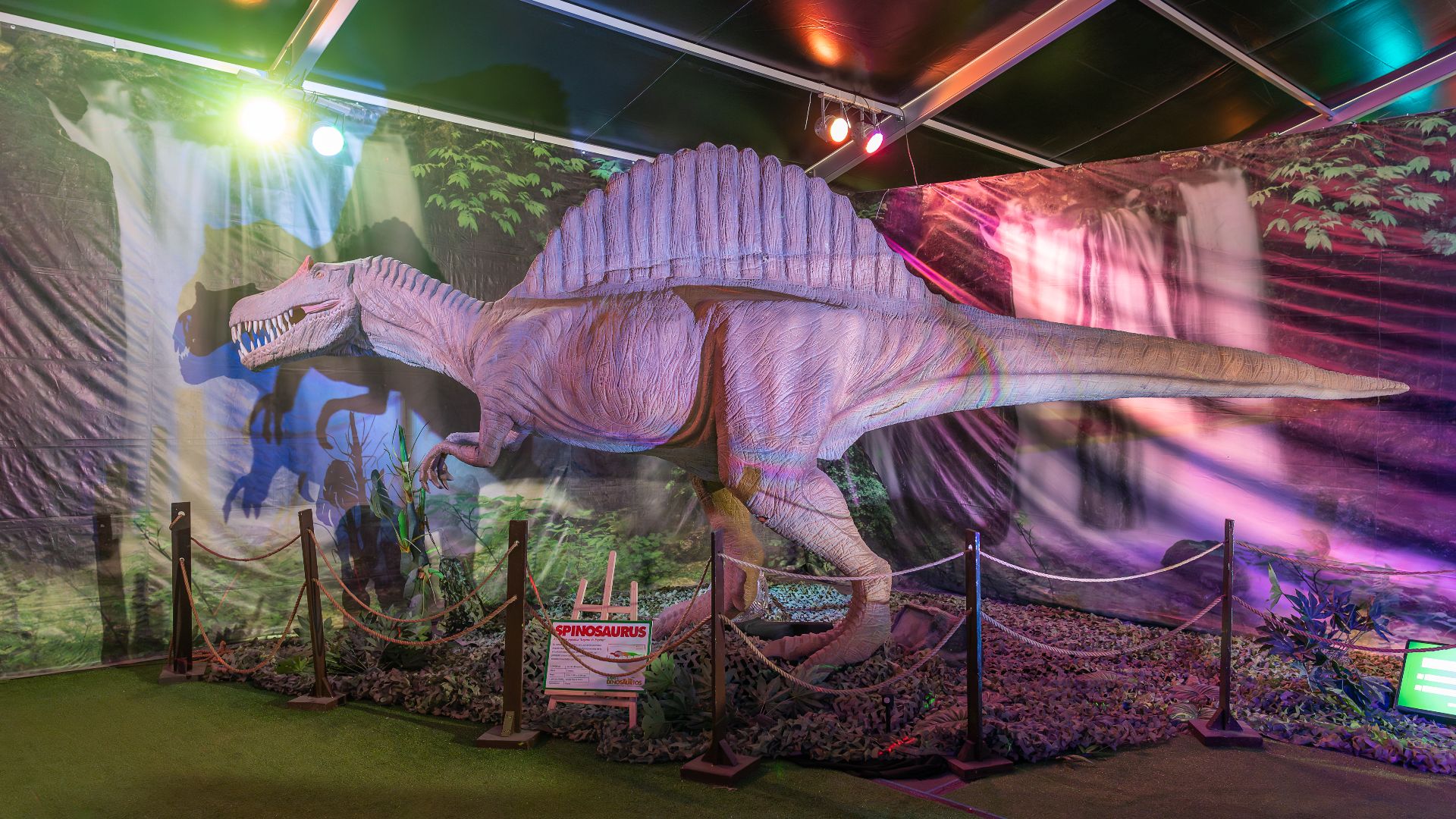 File:Spinosaurus, Expo Dinosaurios 2023 - A740932.jpg