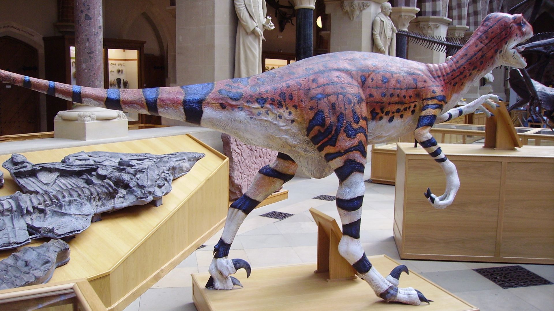 File:Utahraptor 2.JPG