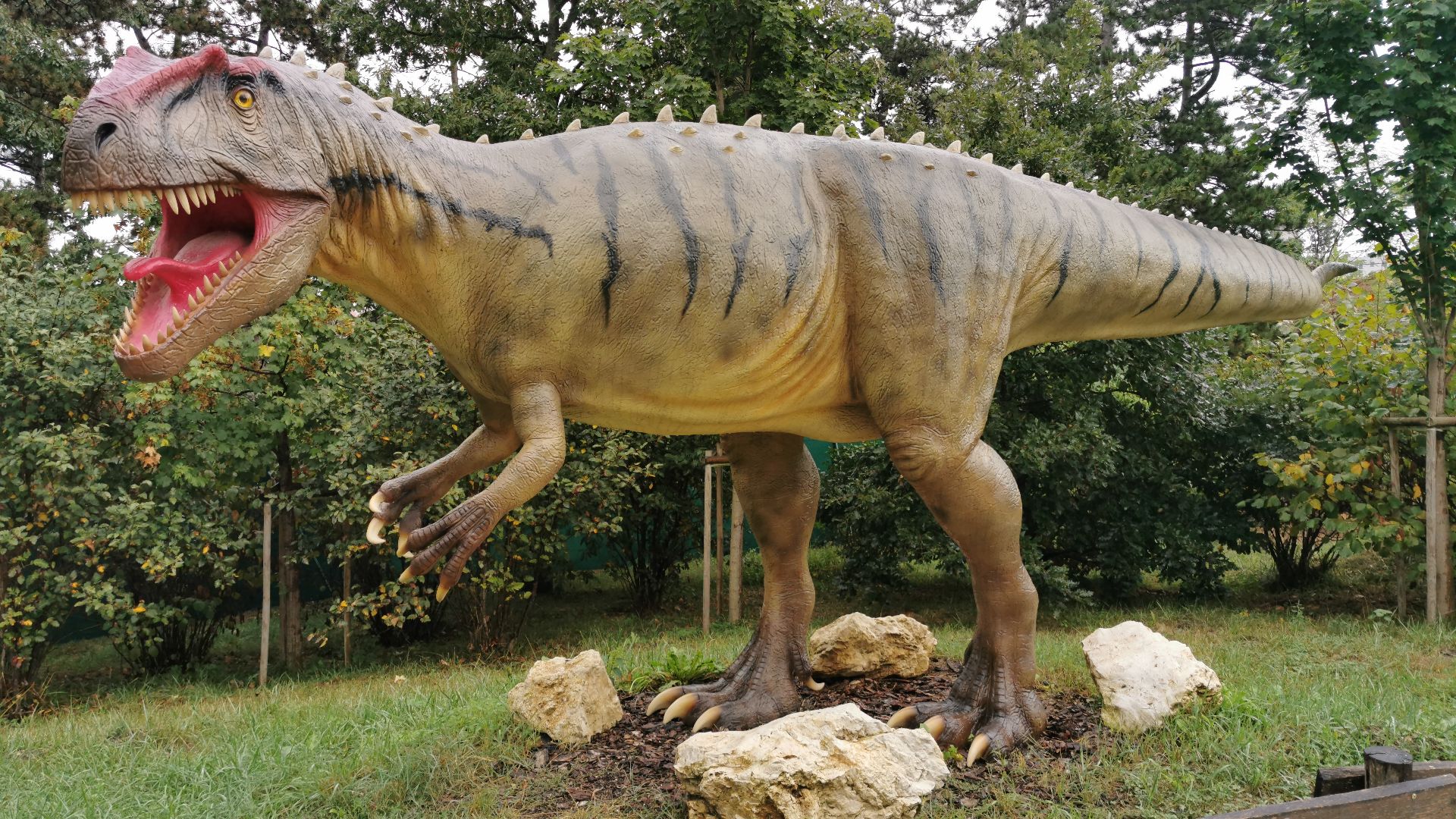 File:Allosaurus -.jpg