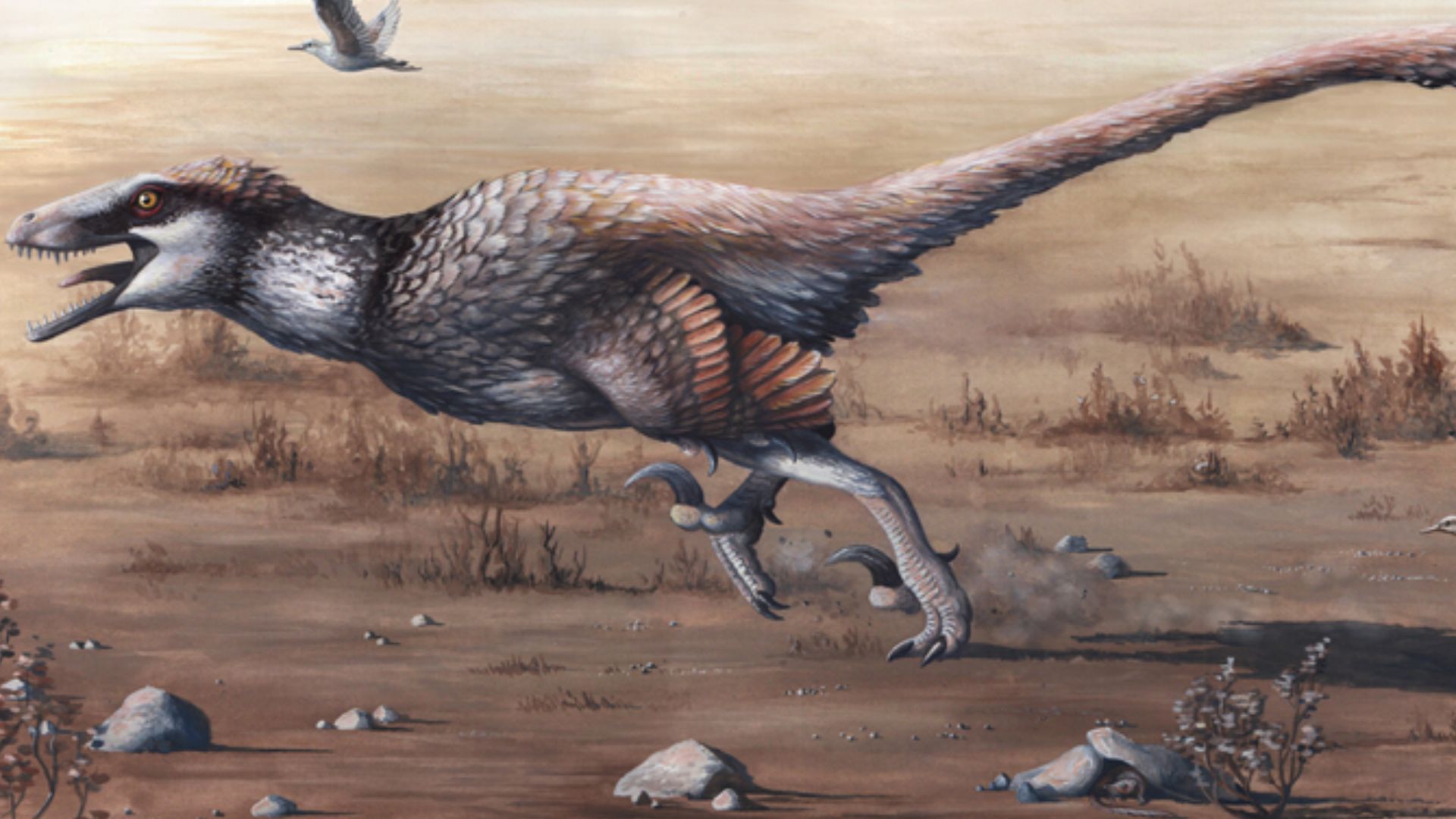 File:Dakotaraptor wiki.jpg