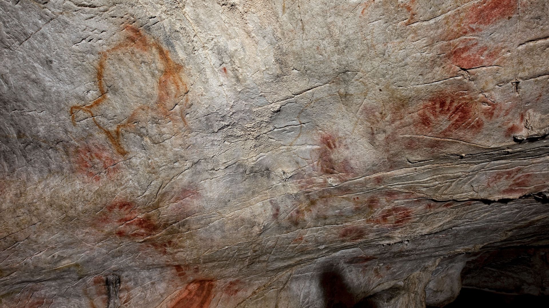 File:Panel de manos de la cueva del Castillo.jpg