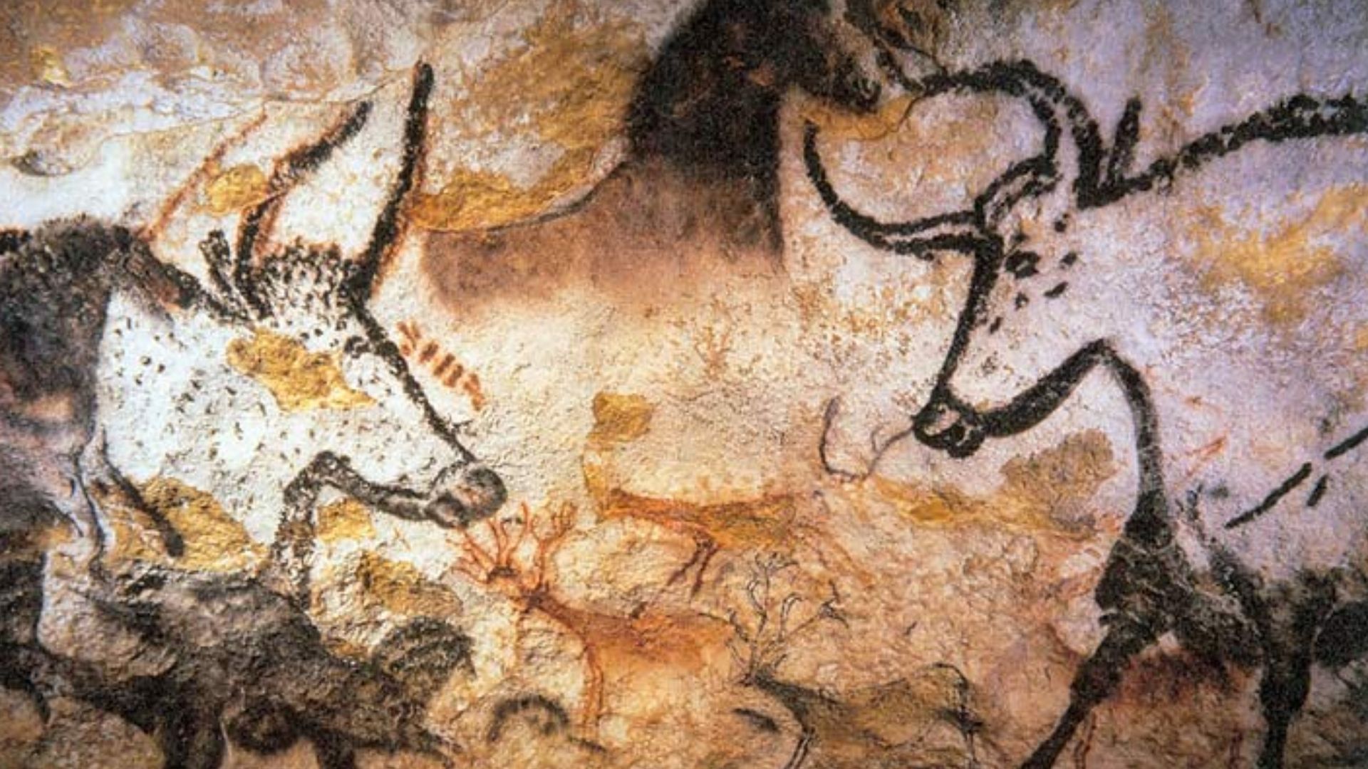 File:Lascaux painting.jpg