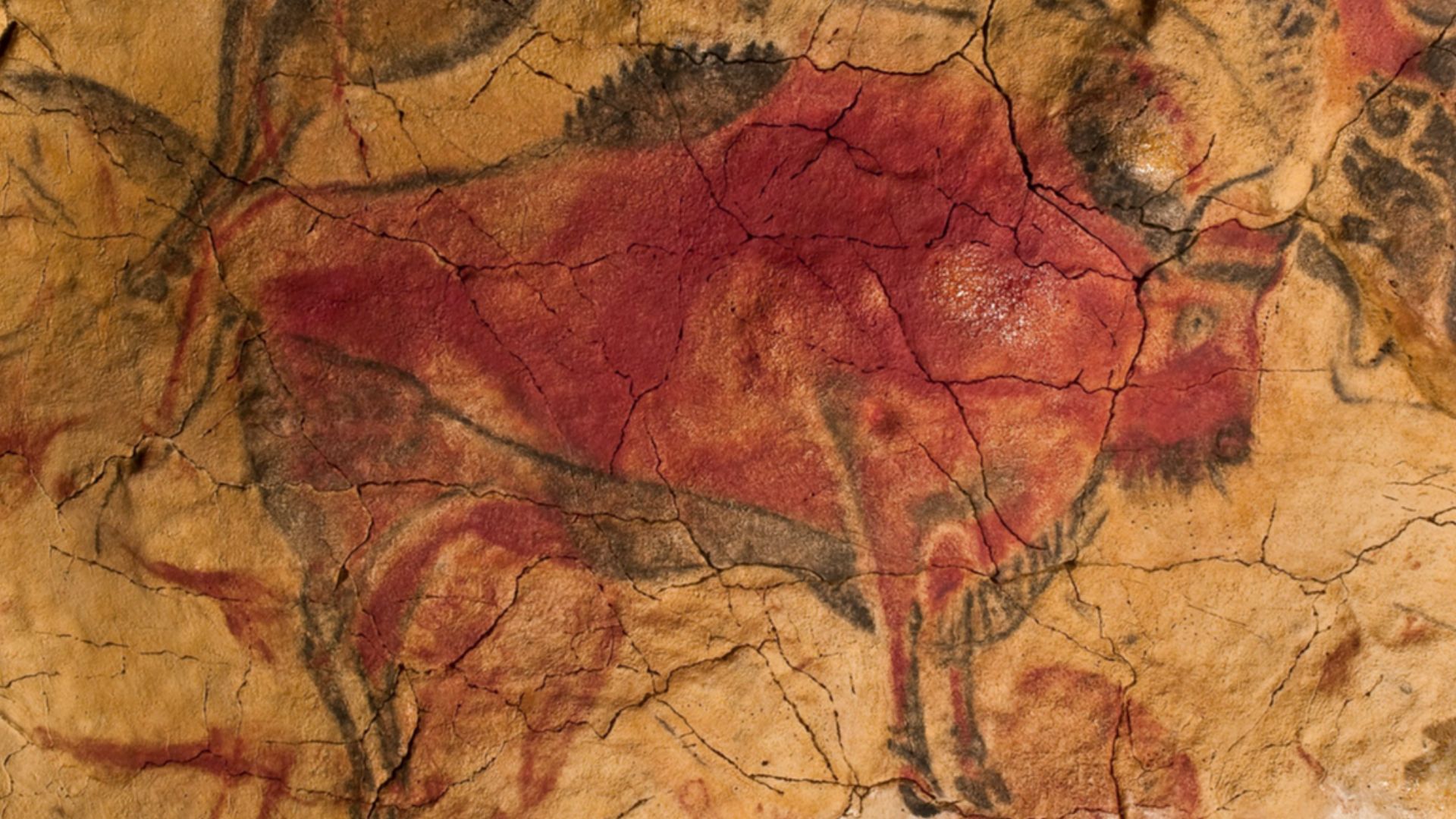 File:9 Bisonte Magdaleniense polícromo.jpg