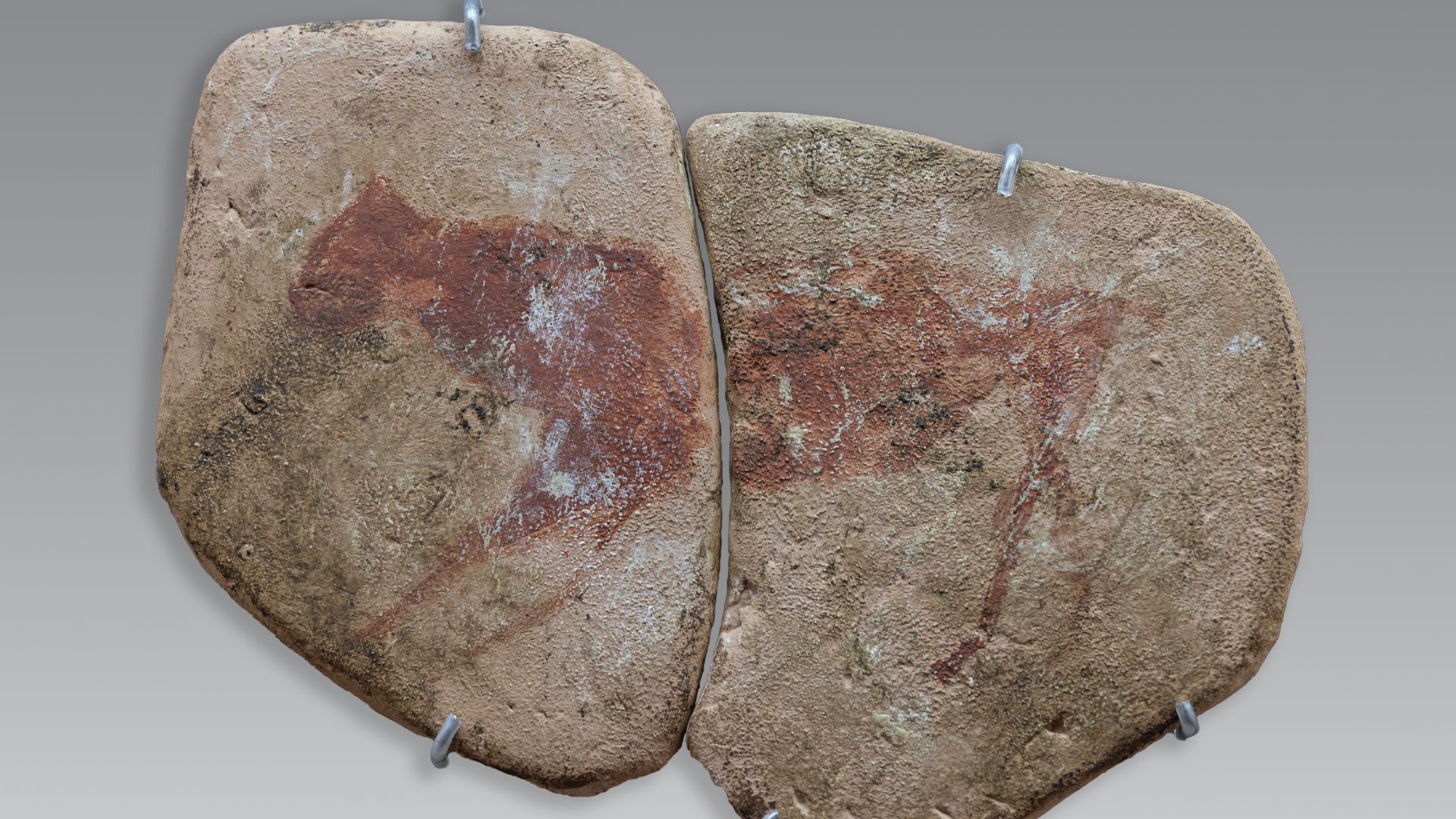 File:Apollo 11 Cave painting 1.jpg