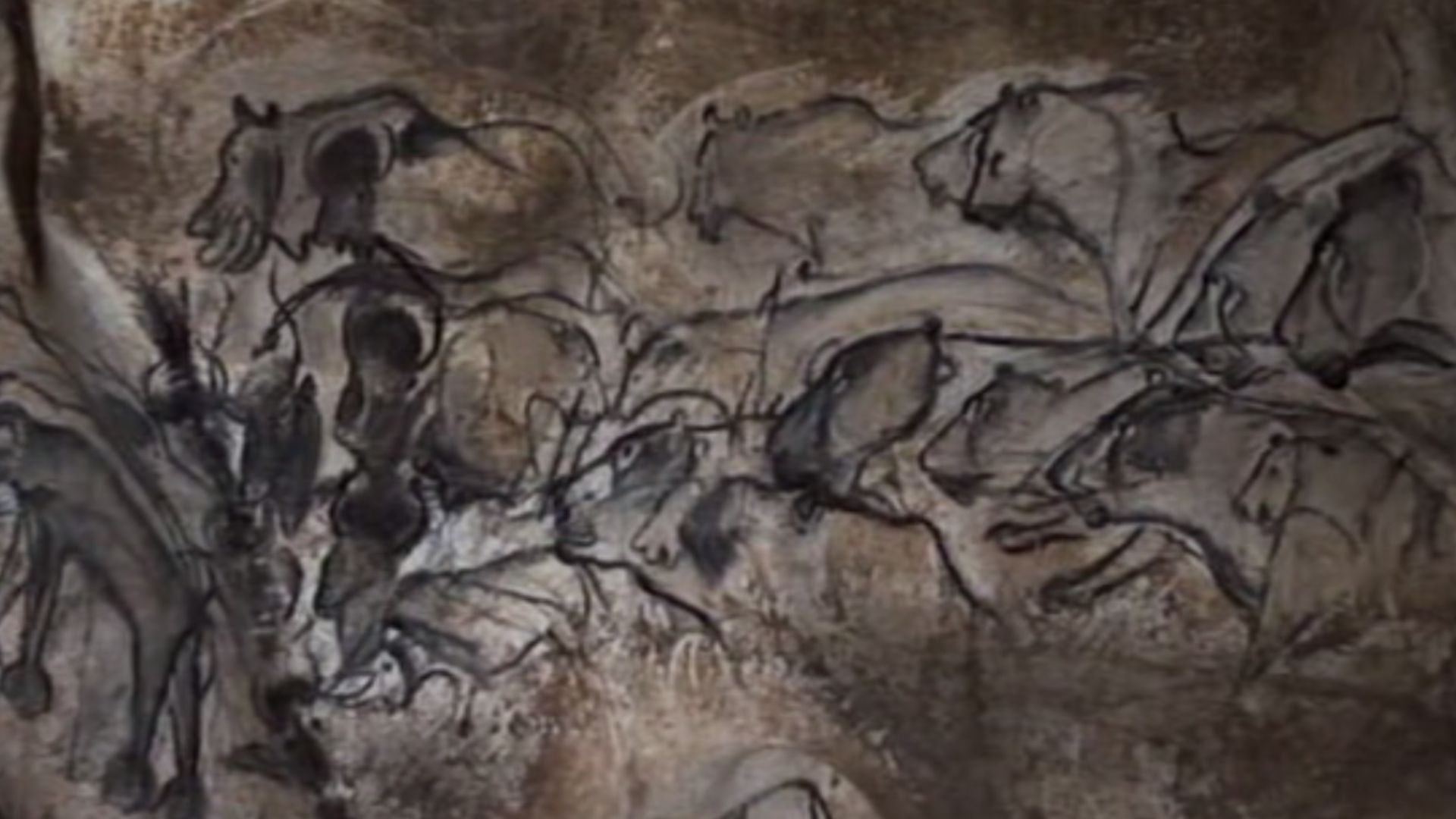 File:Lions group Chauvet Cave.jpg