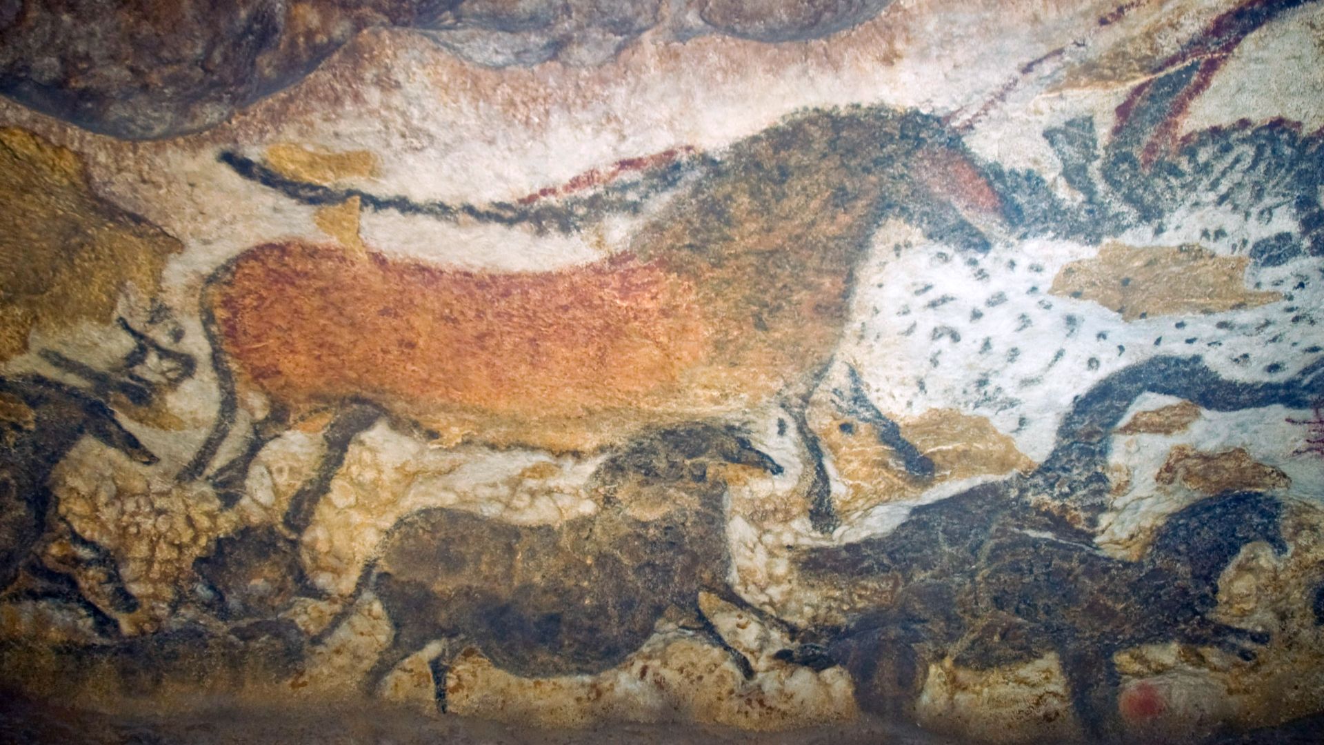 File:Lascaux II.jpg