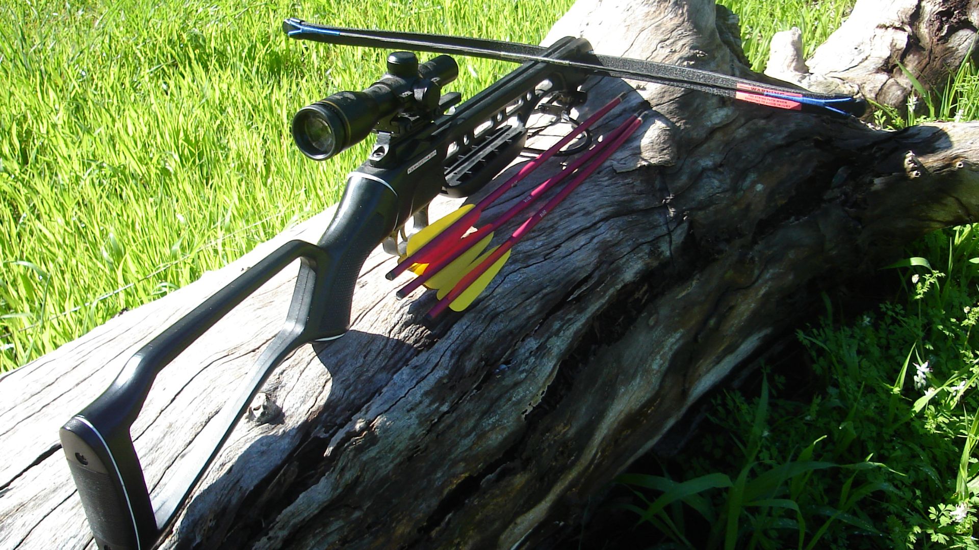 File:Recurve crossbow with bolts.jpg