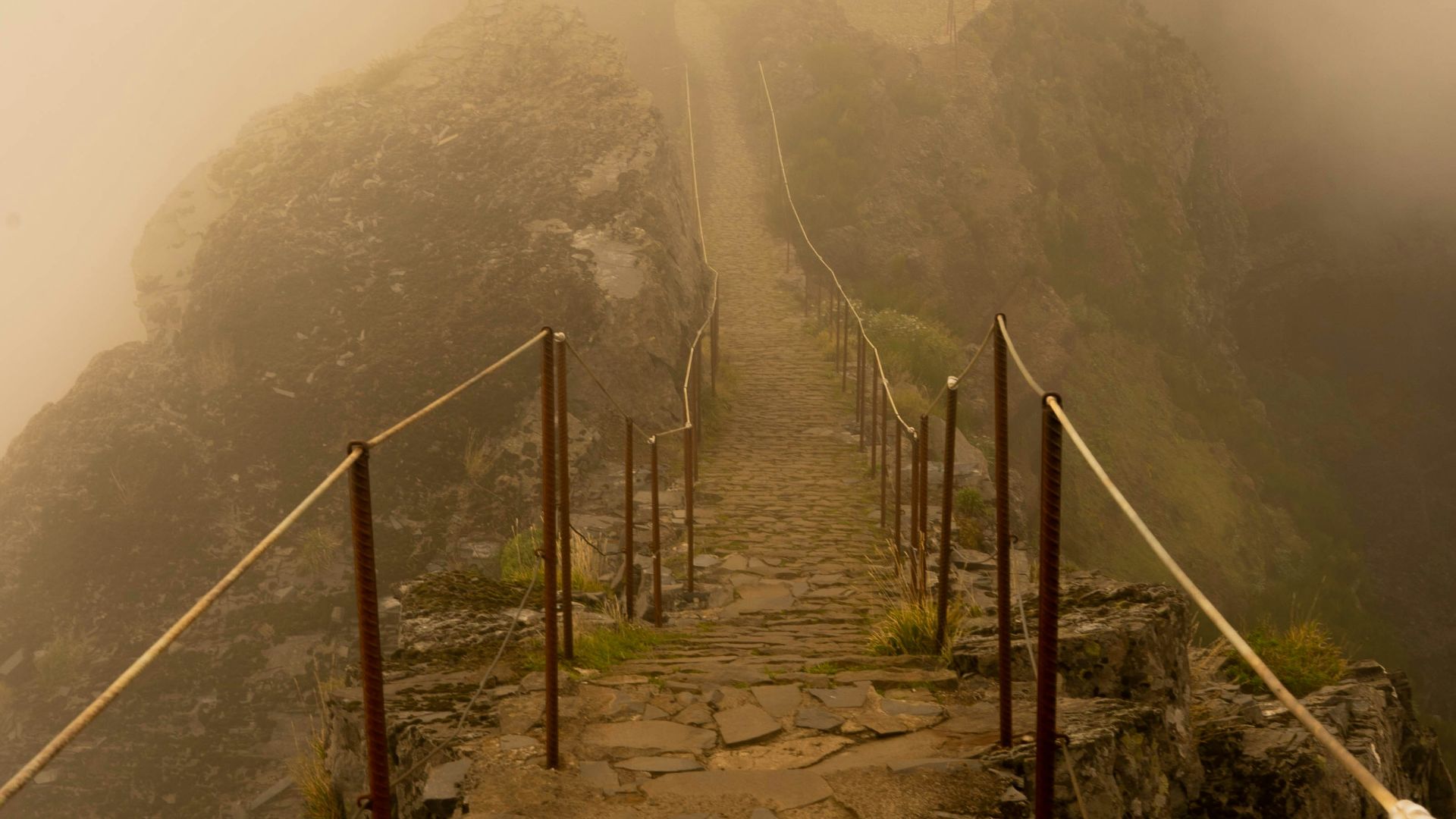 grayscale photo of bridge on mountain