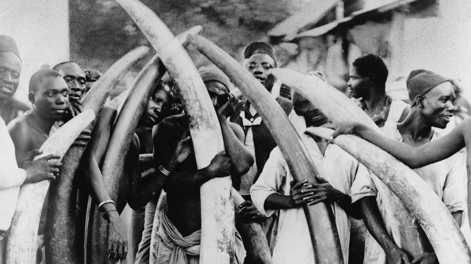 File:Ivory trade.jpg