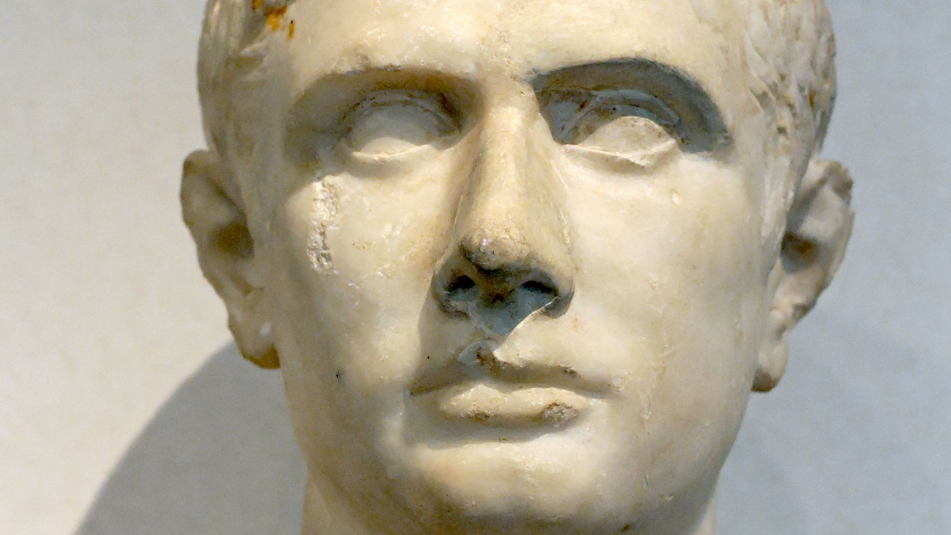 File:Portrait Brutus Massimo.jpg